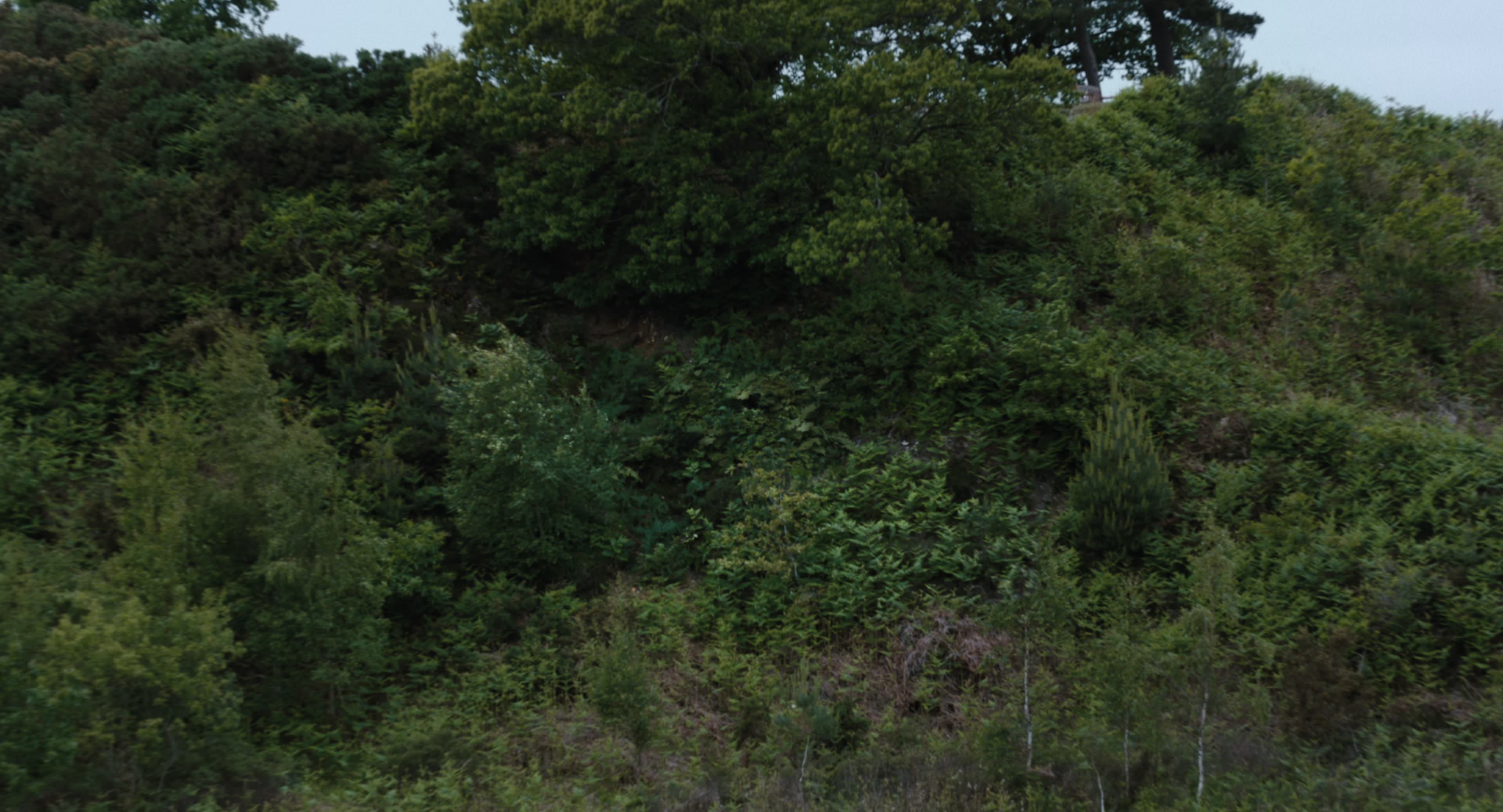 The Gorge (2025) [4K] screencap 135