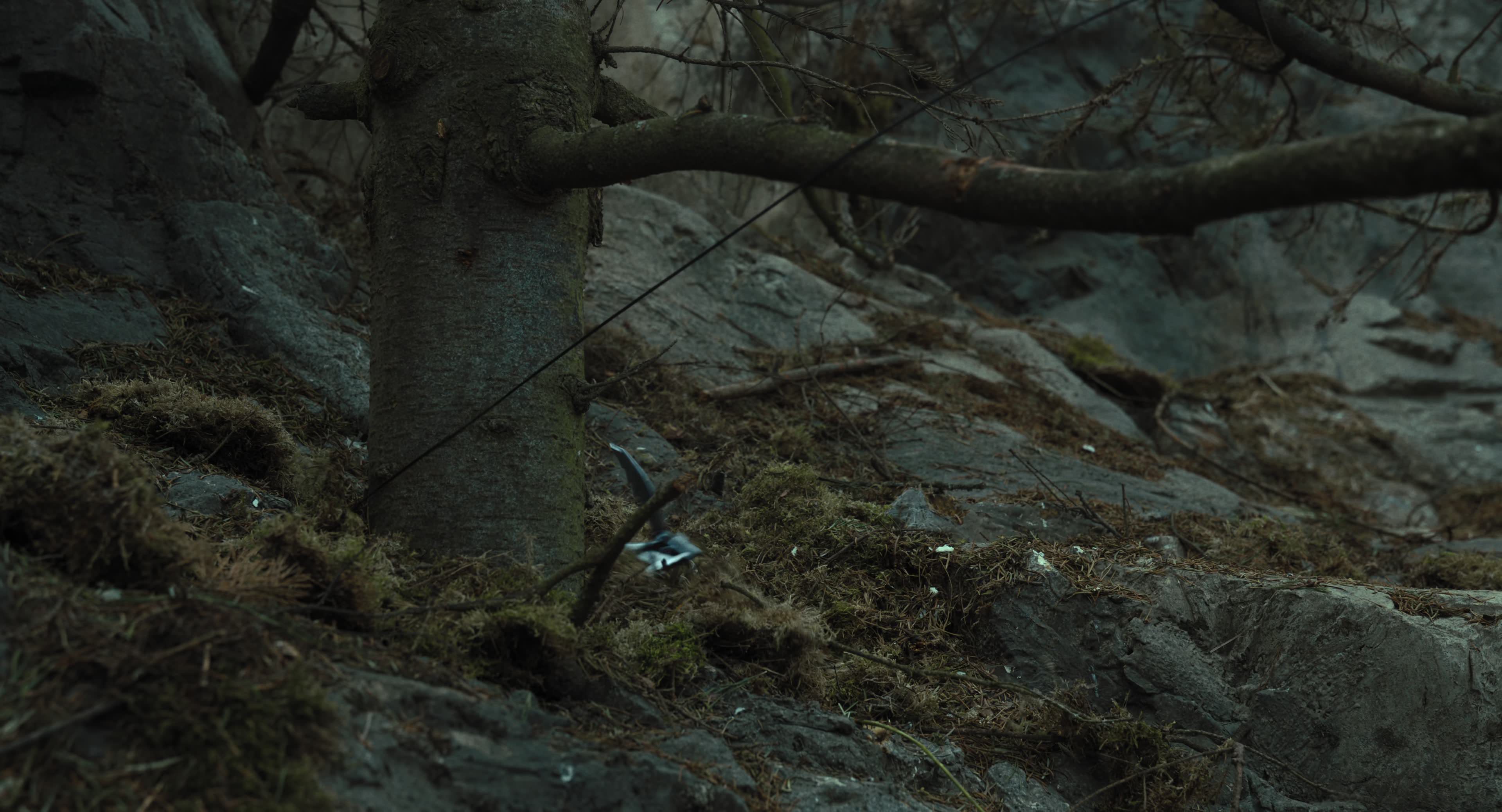 The Gorge (2025) [4K] screencap 13548
