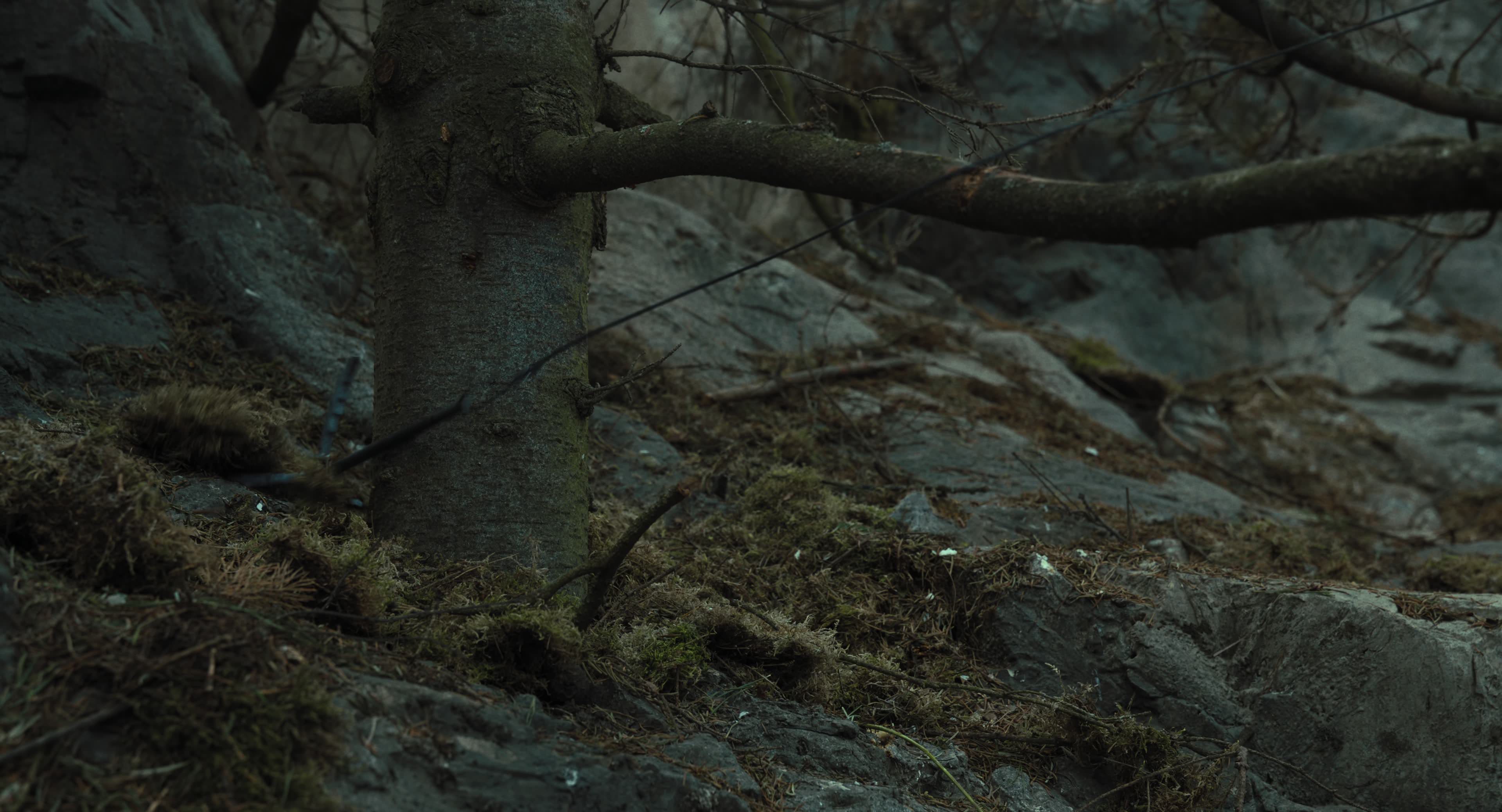 The Gorge (2025) [4K] movie still 13549