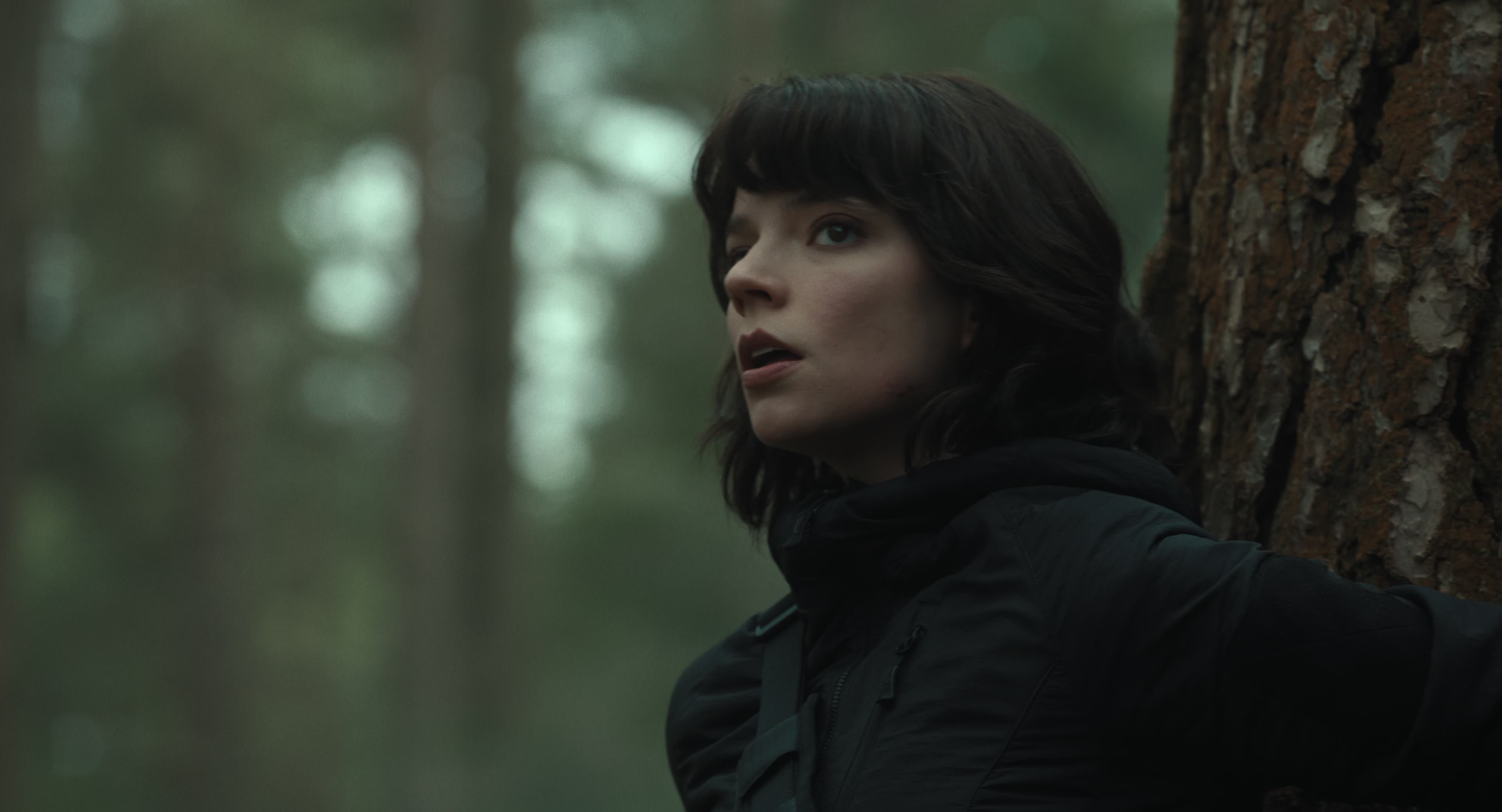 The Gorge (2025) [4K] HD screenshot 14375