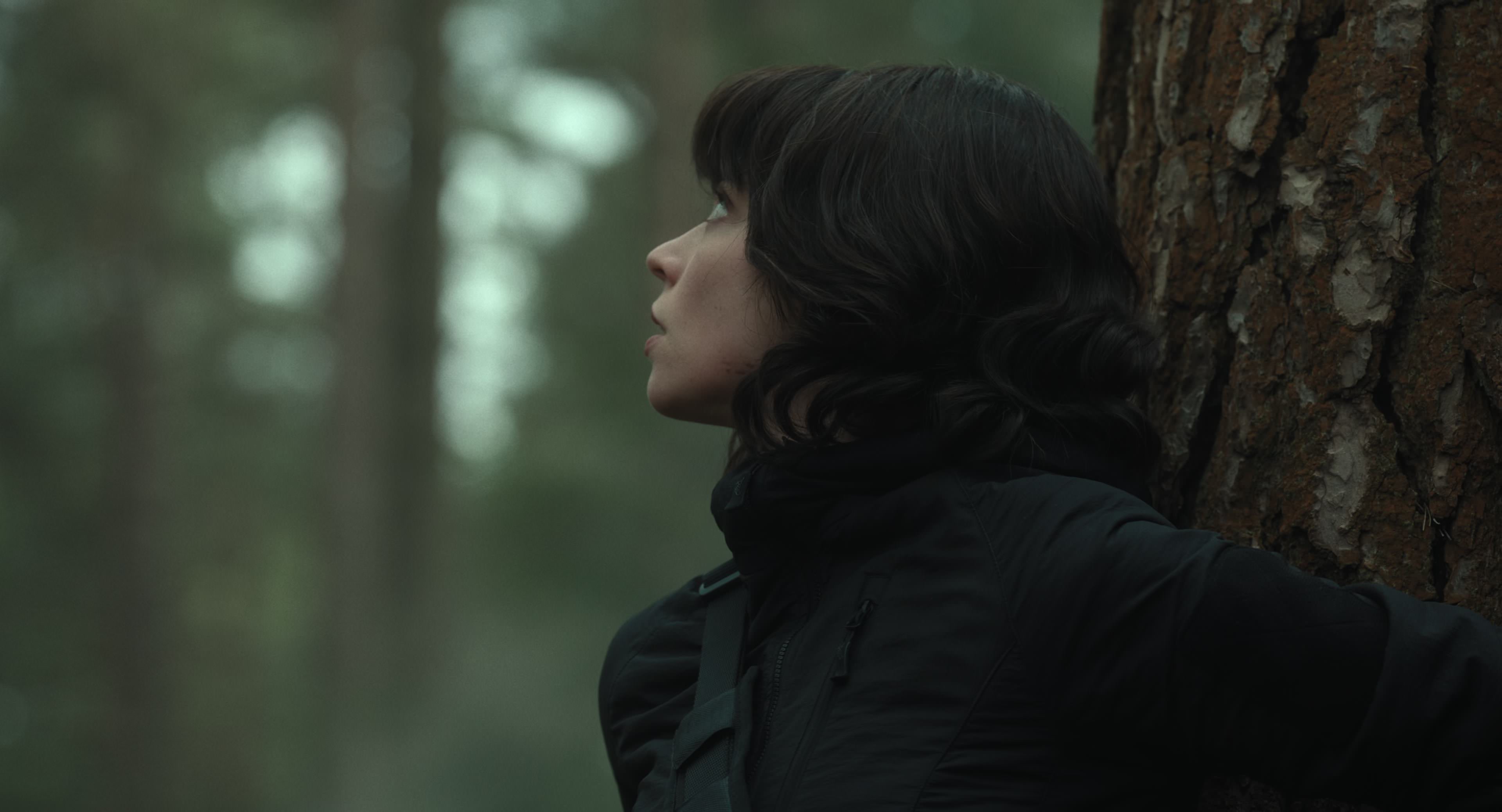 The Gorge (2025) [4K] HD screenshot 14378