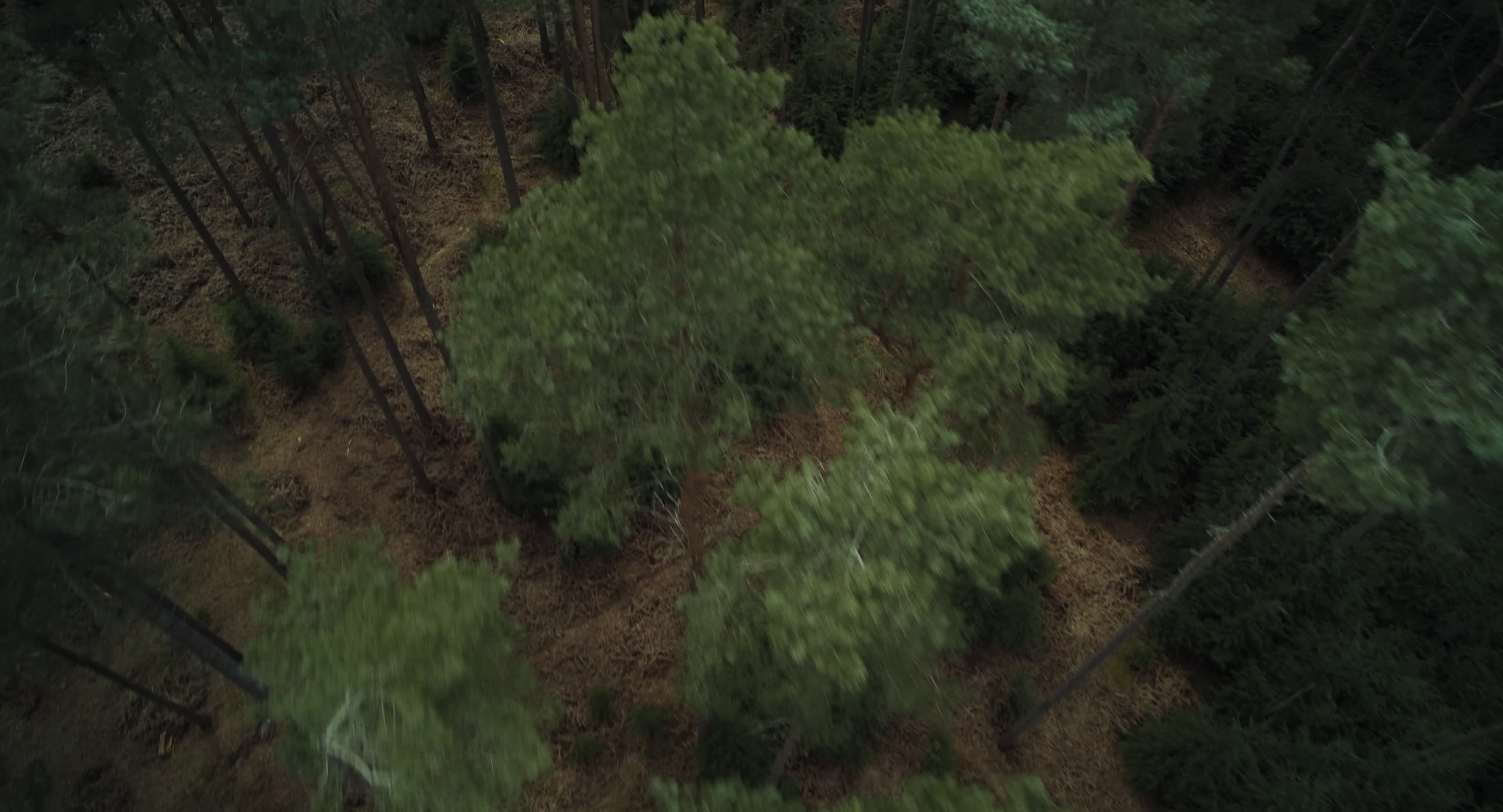 The Gorge (2025) [4K] HD screenshot 14381