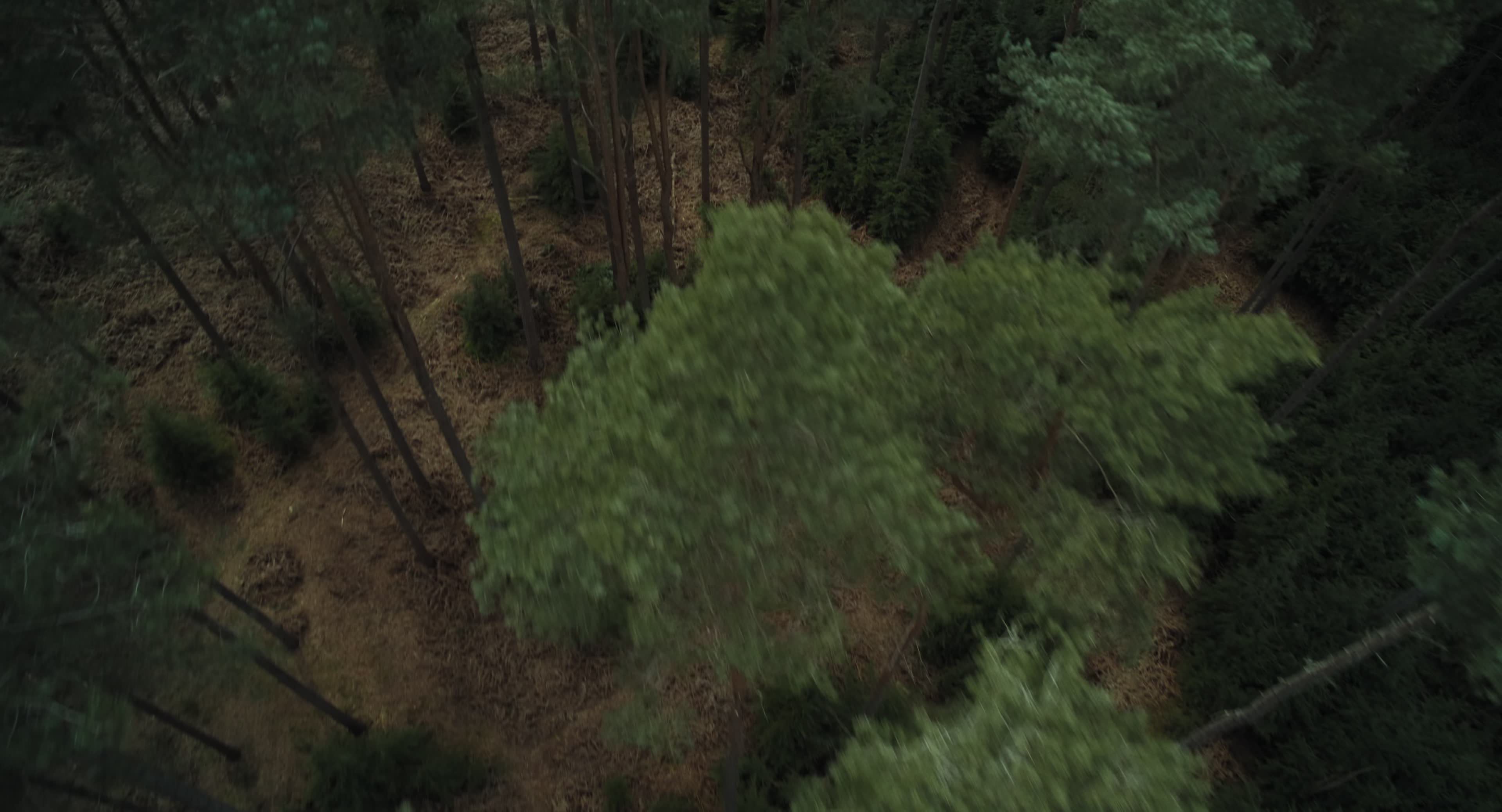 The Gorge (2025) [4K] screencap 14382