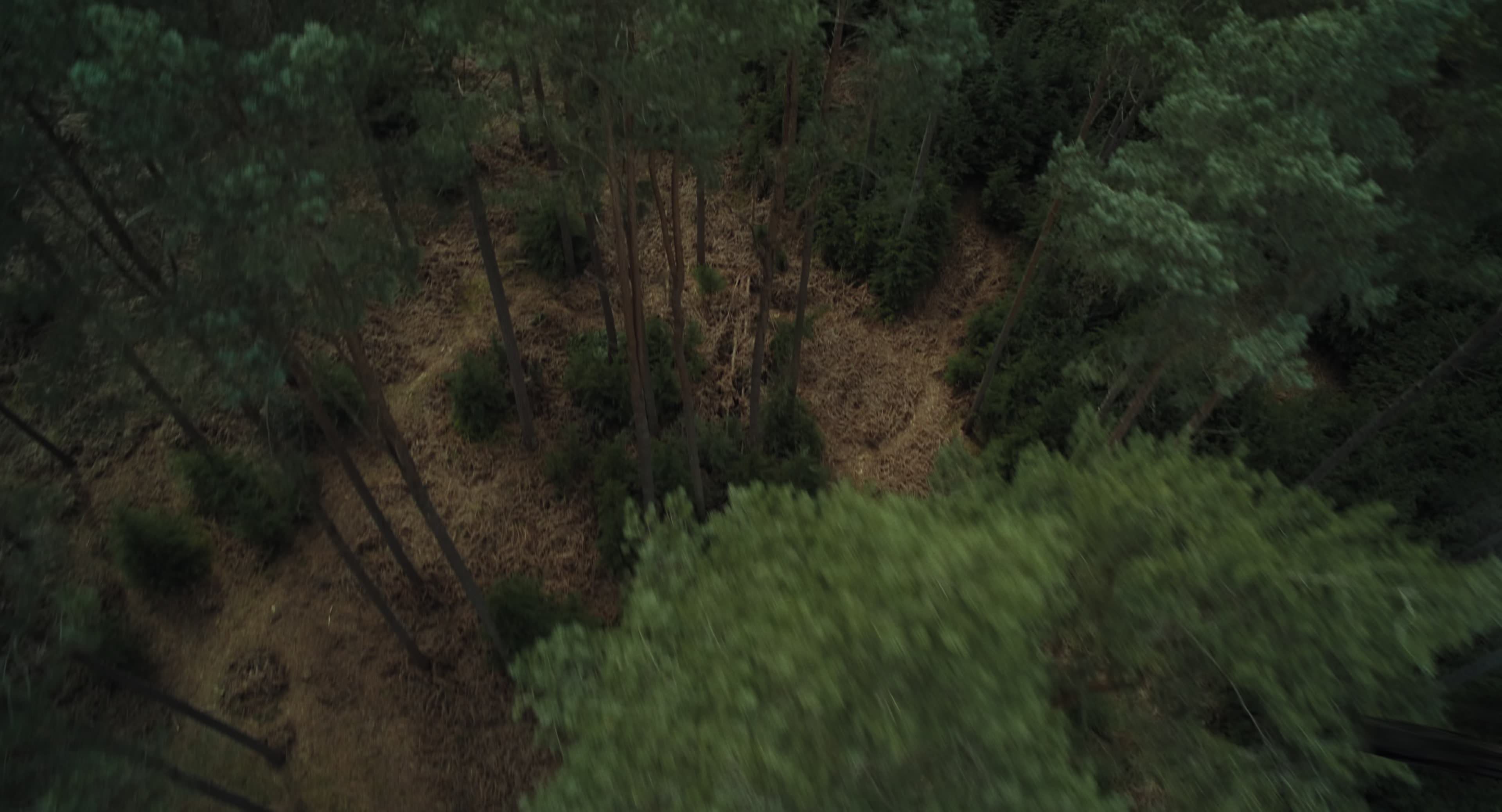 The Gorge (2025) [4K] movie still 14383