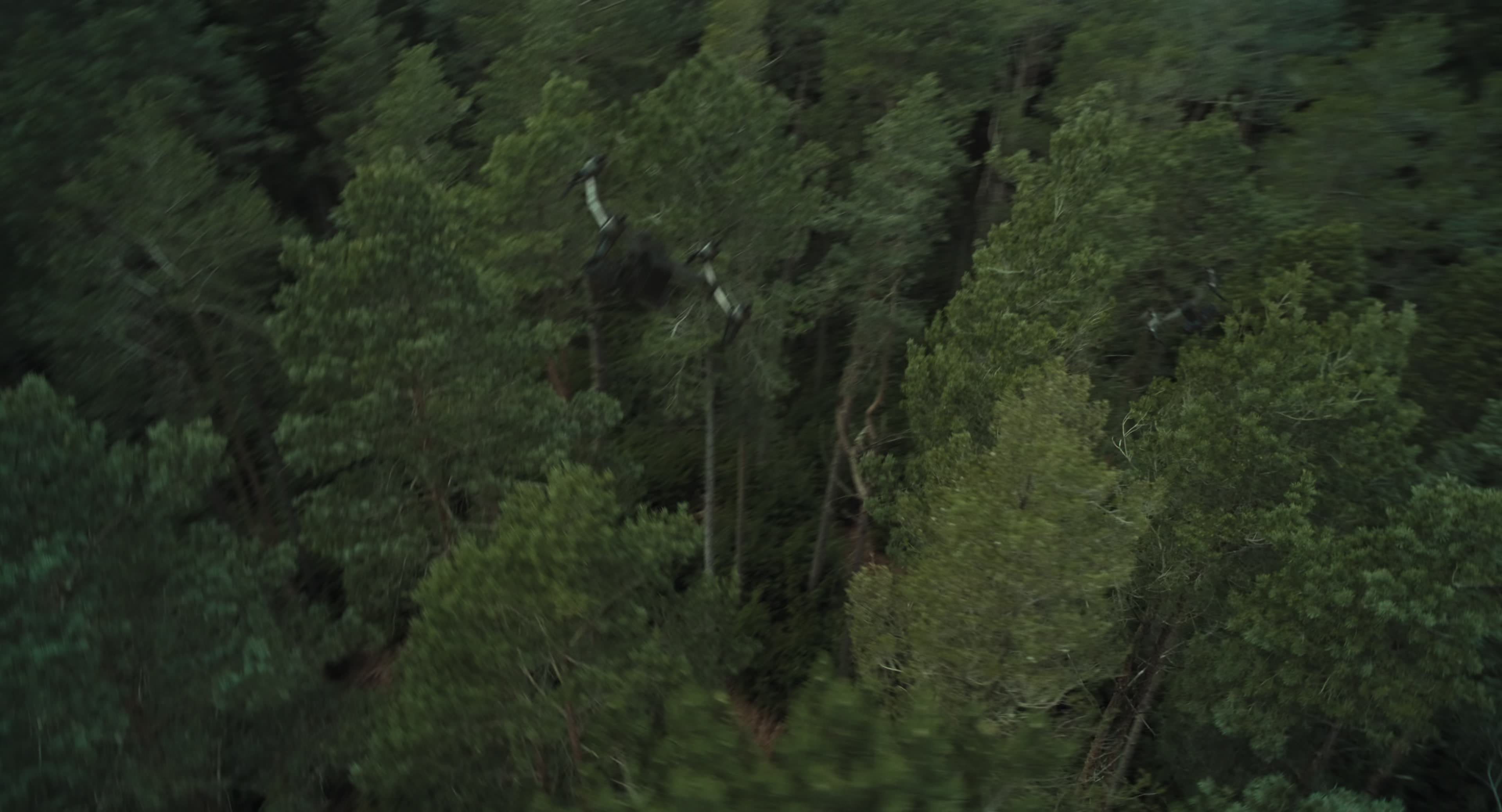 The Gorge (2025) [4K] HD screenshot 14390
