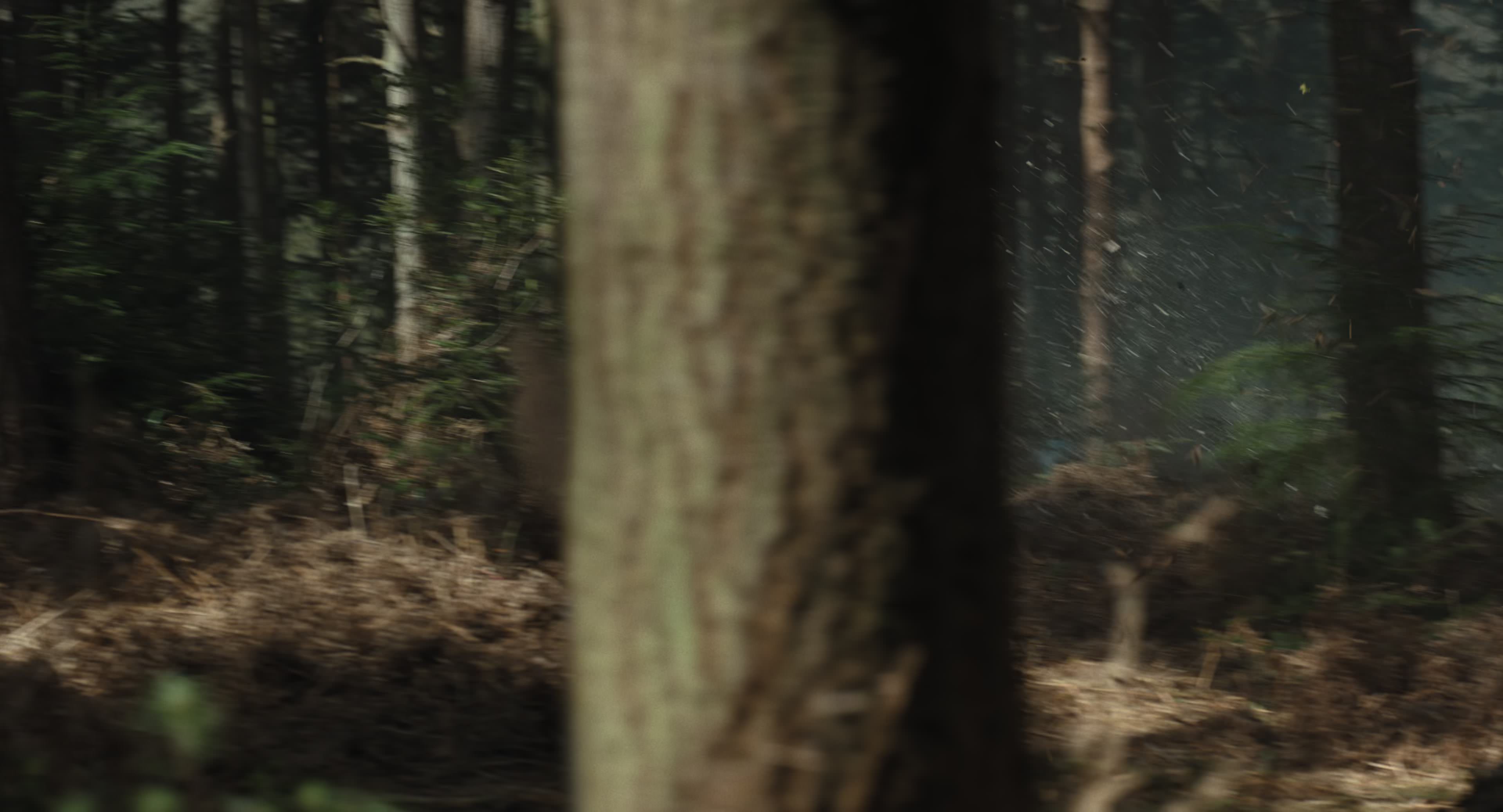 The Gorge (2025) [4K] HD screenshot 14399