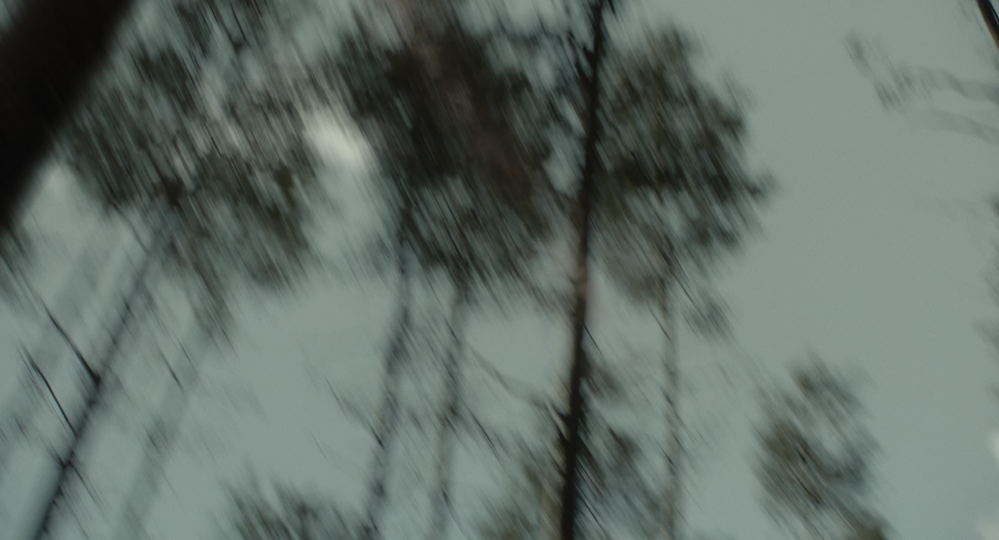 The Gorge (2025) [4K] HD screenshot 14405