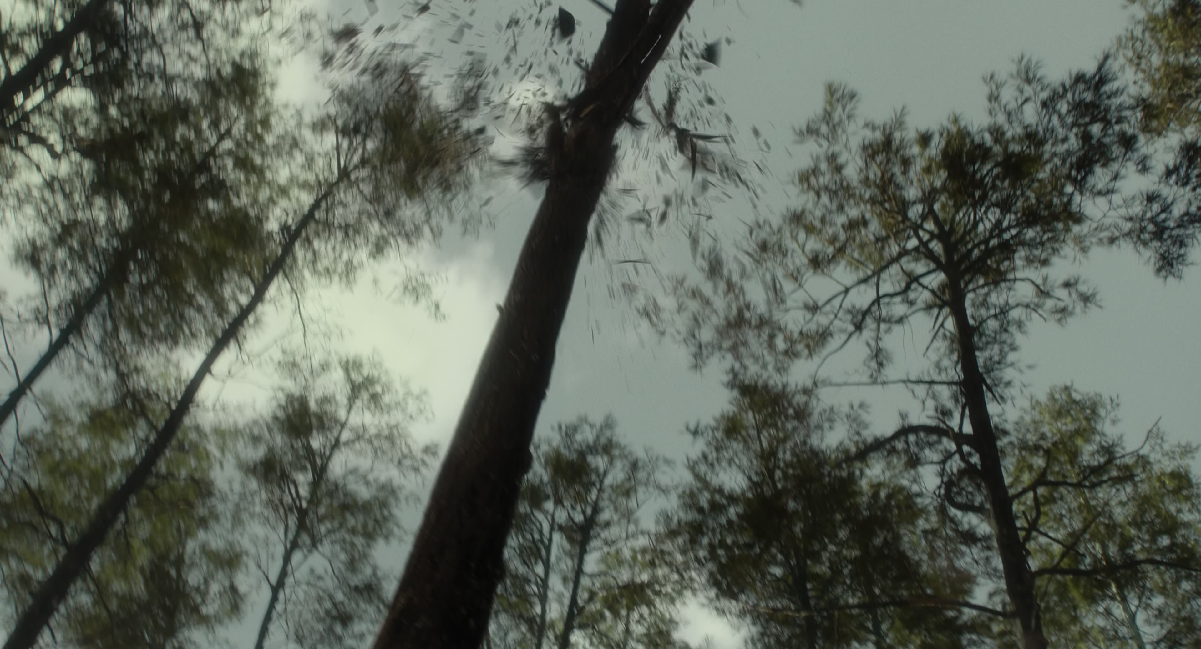 The Gorge (2025) [4K] screencap 14406