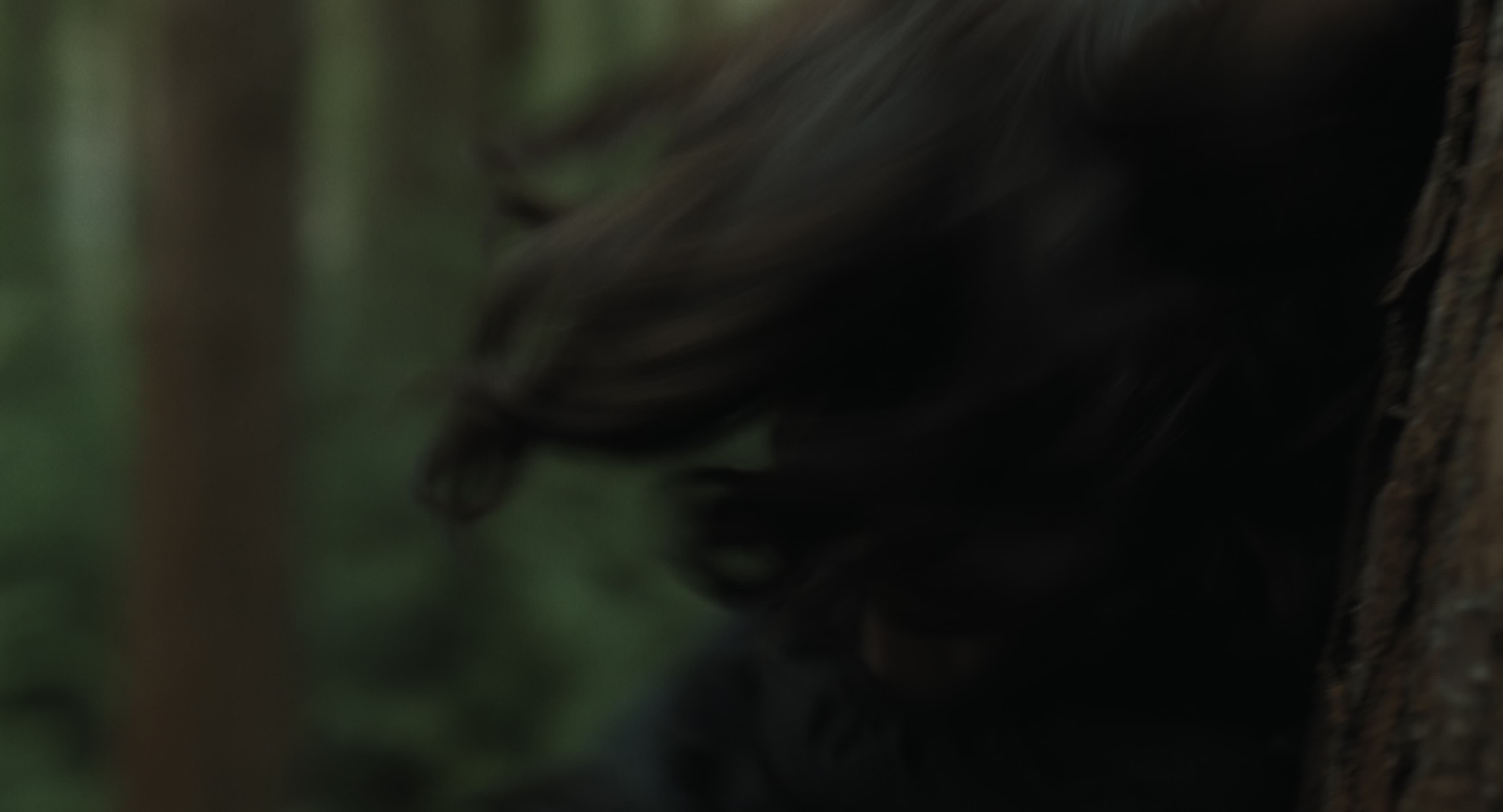 The Gorge (2025) [4K] movie still 14488