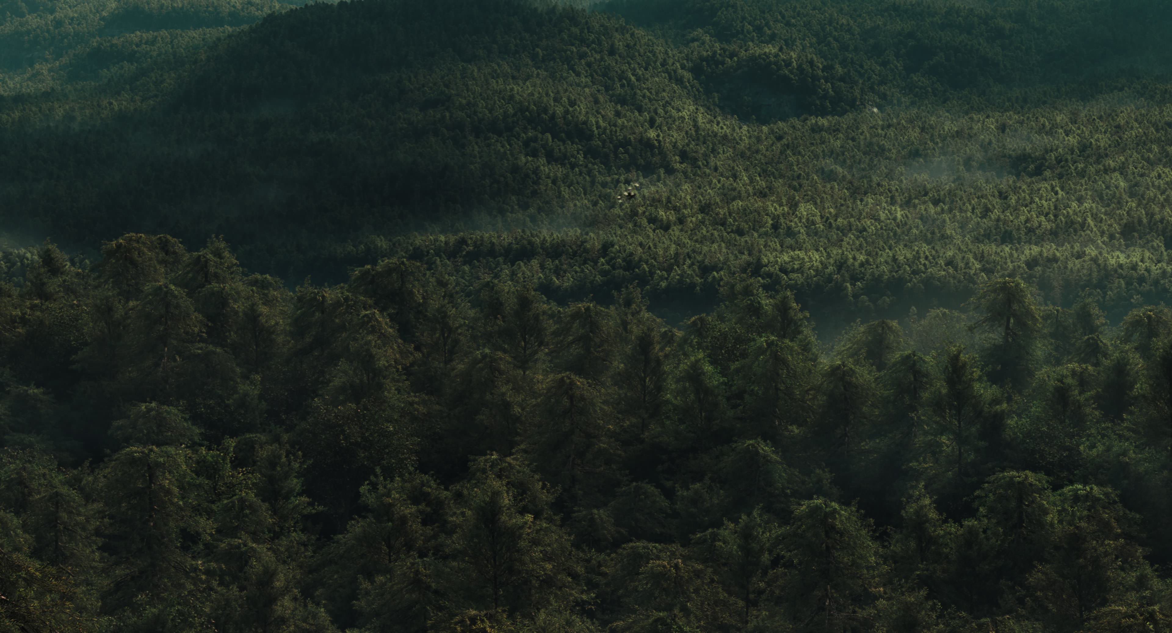 The Gorge (2025) [4K] movie still 14509