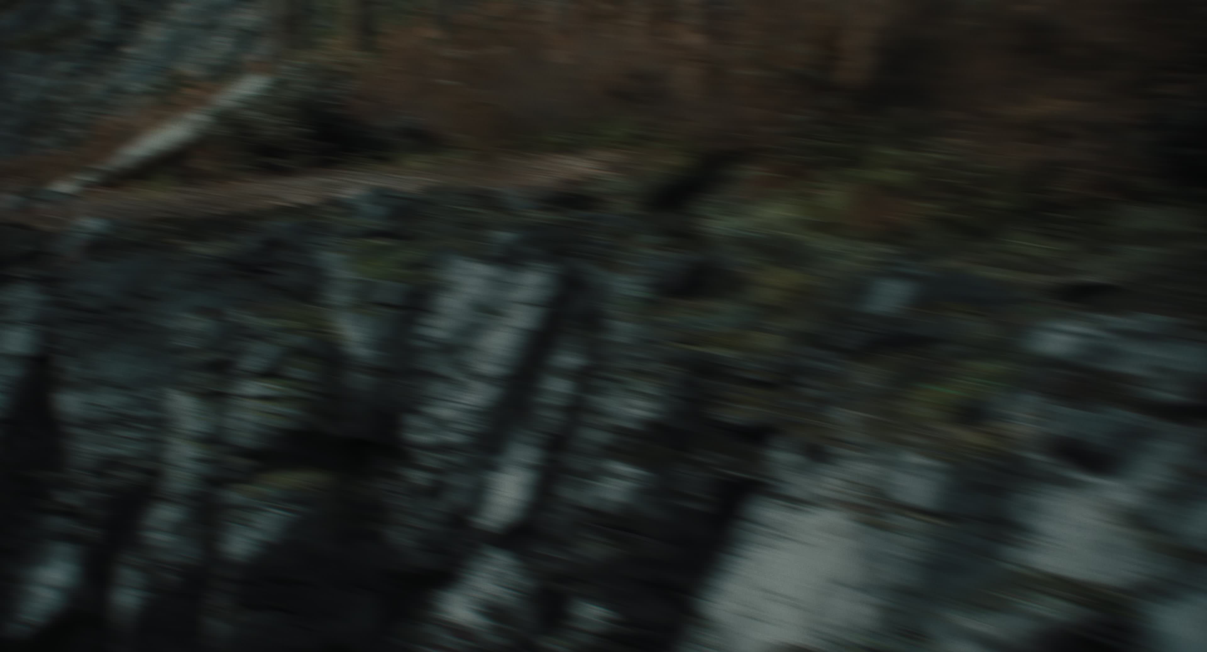 The Gorge (2025) [4K] HD screenshot 14816
