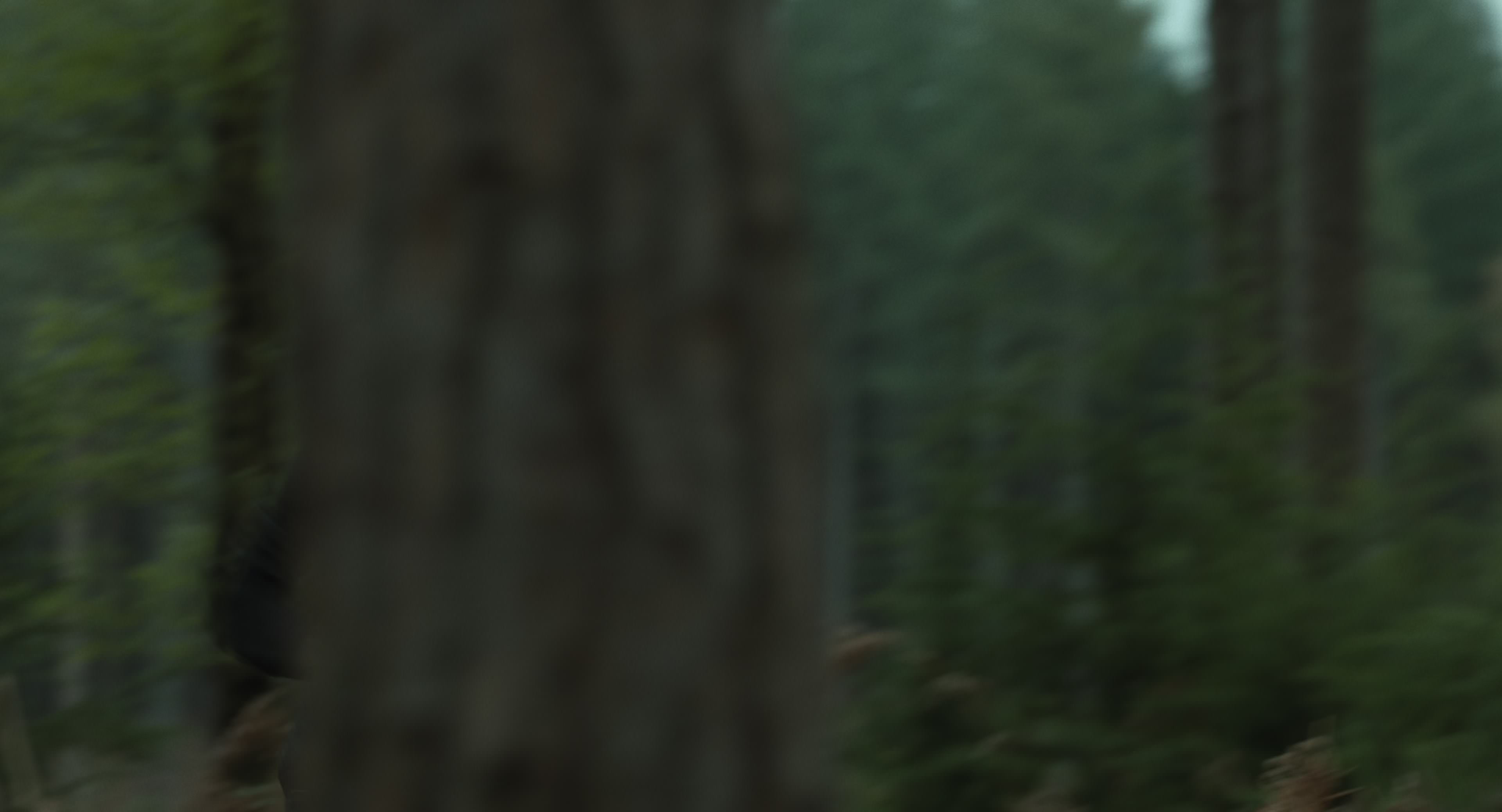 The Gorge (2025) [4K] movie still 14851