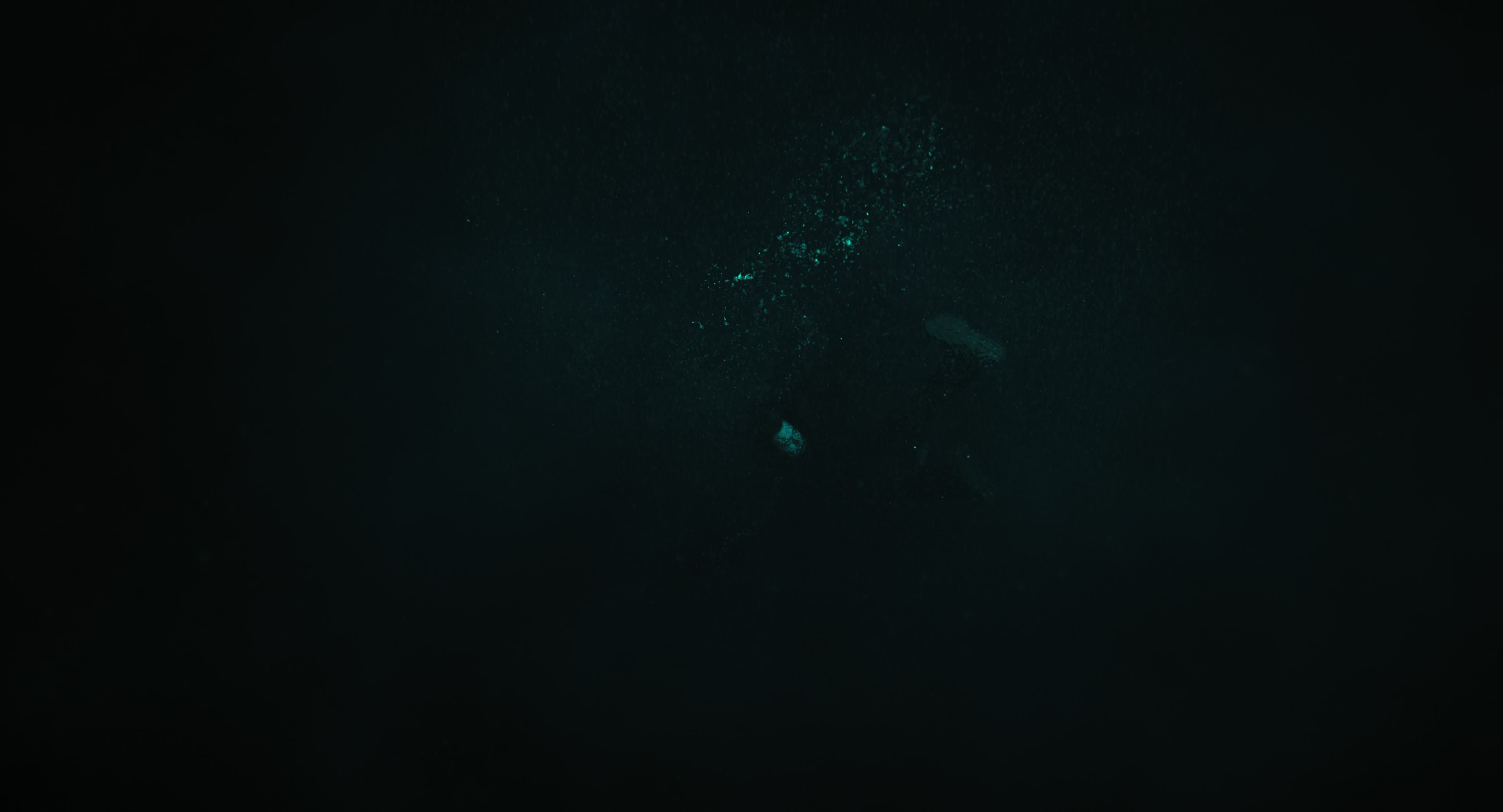 The Gorge (2025) [4K] screencap 15192