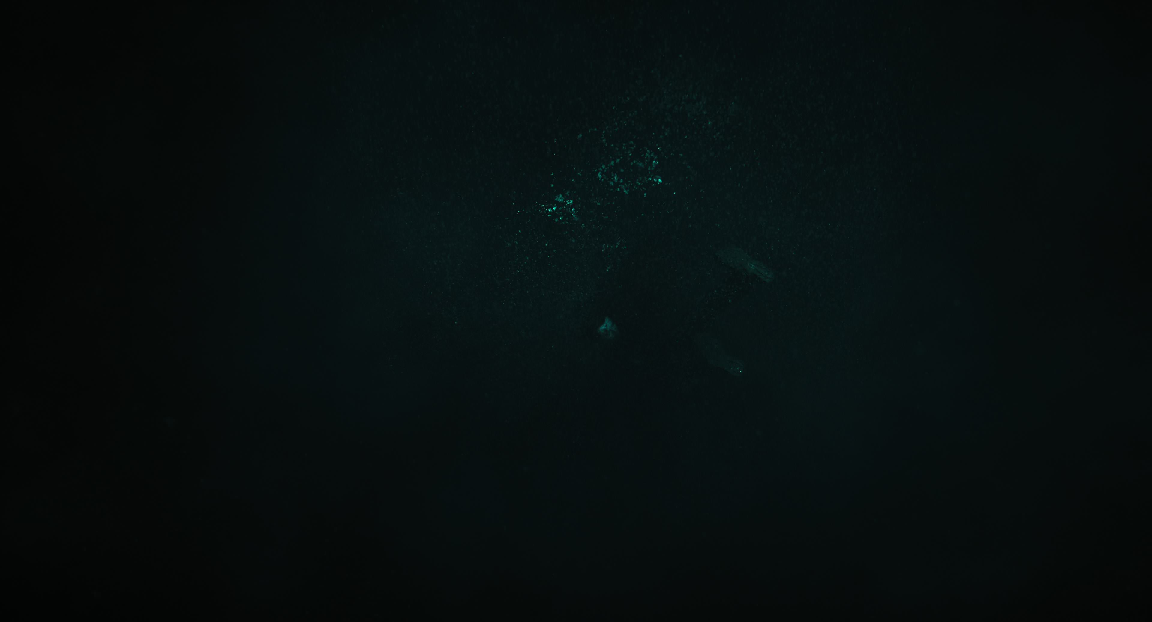 The Gorge (2025) [4K] movie still 15193