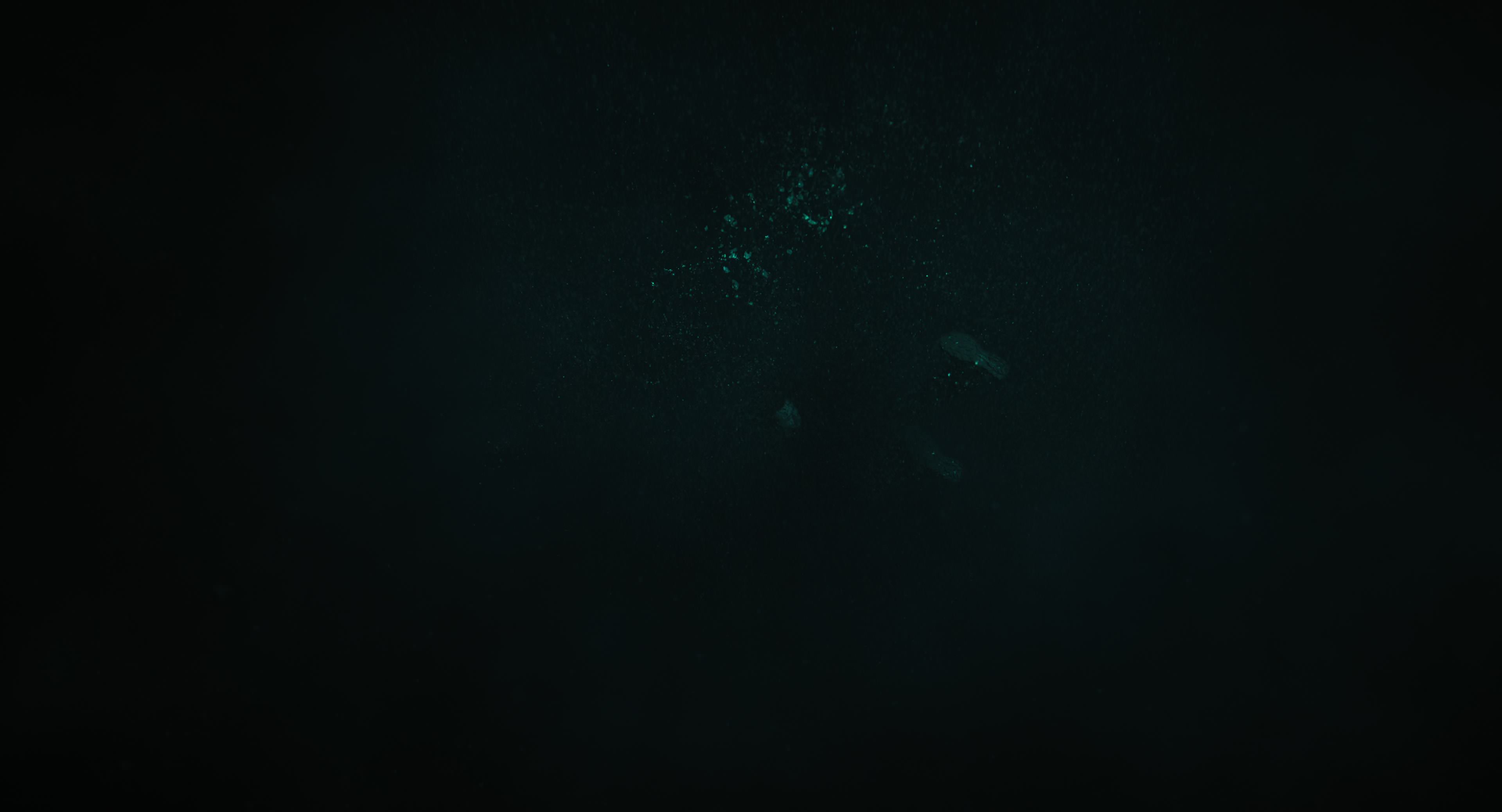 The Gorge (2025) [4K] HD screenshot 15194