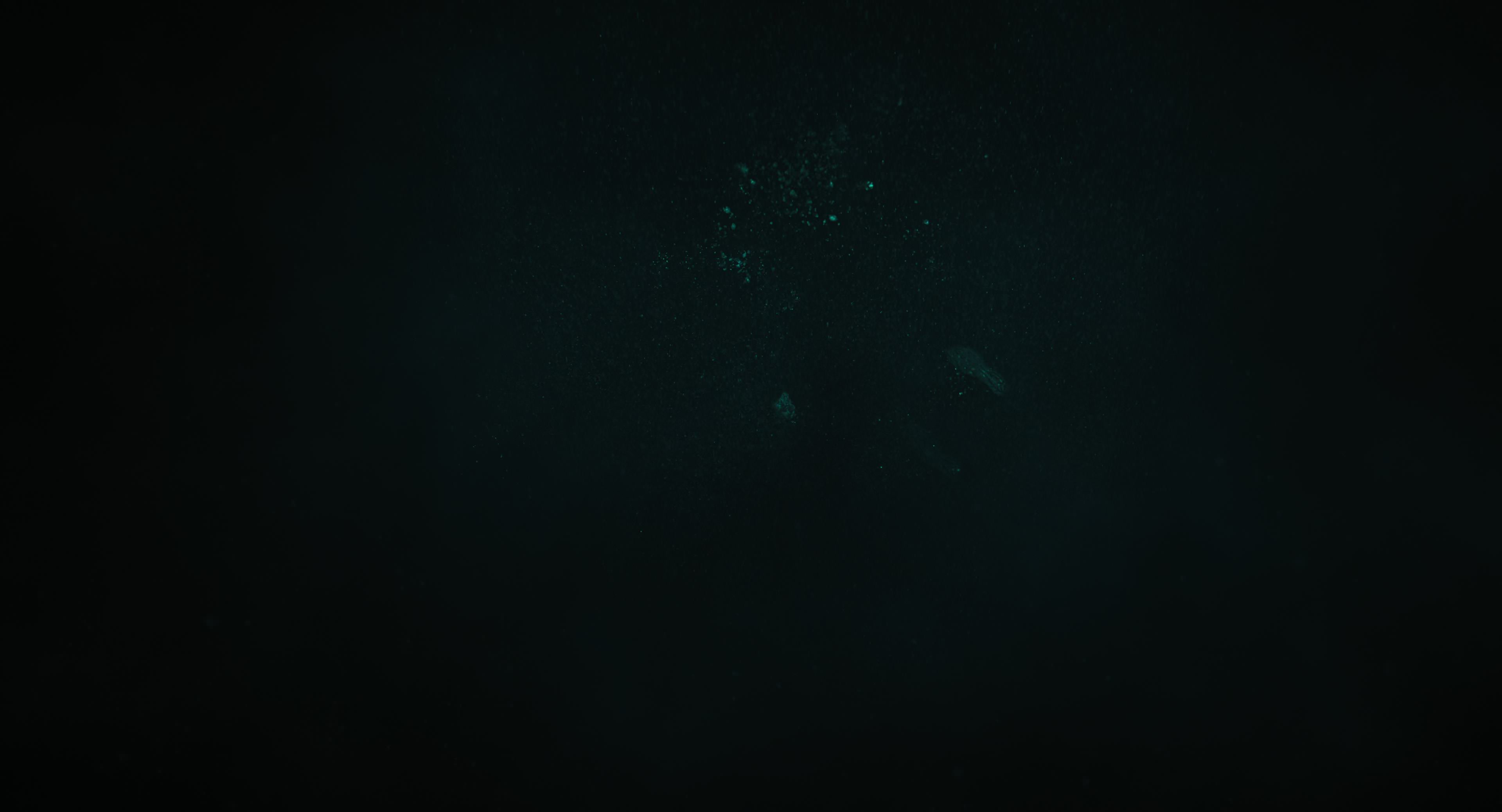 The Gorge (2025) [4K] screencap 15195