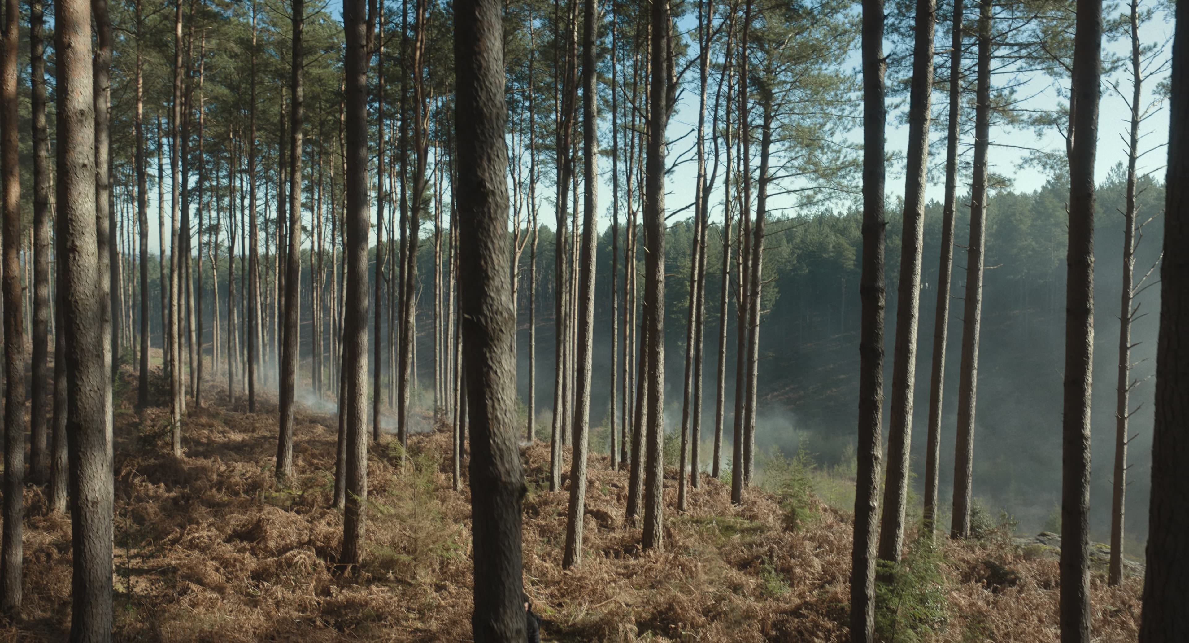 The Gorge (2025) [4K] screencap 1737