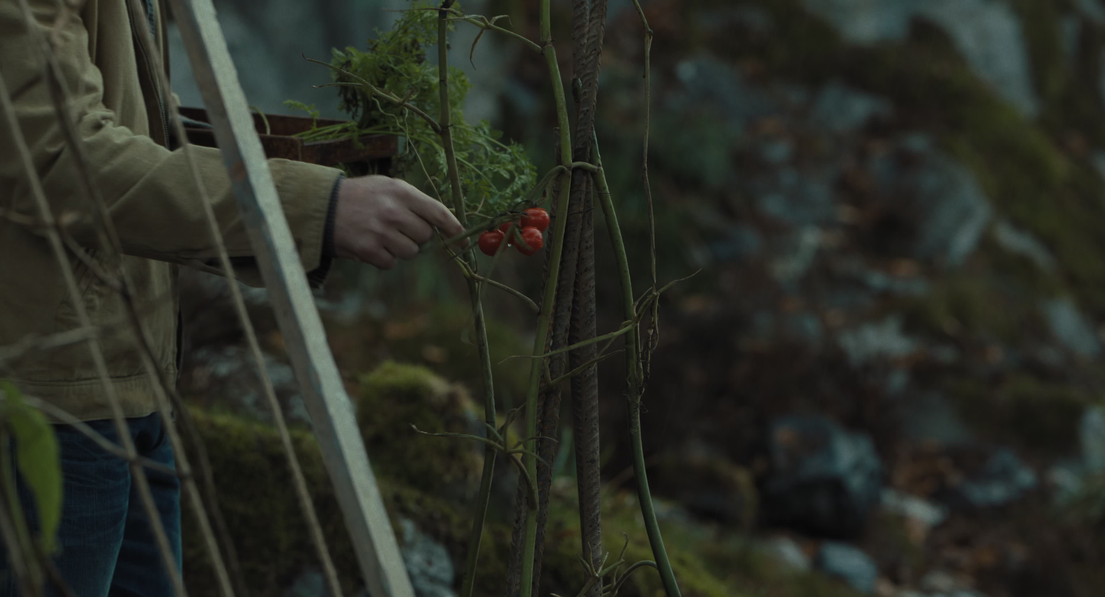 The Gorge (2025) [4K] movie still 3367