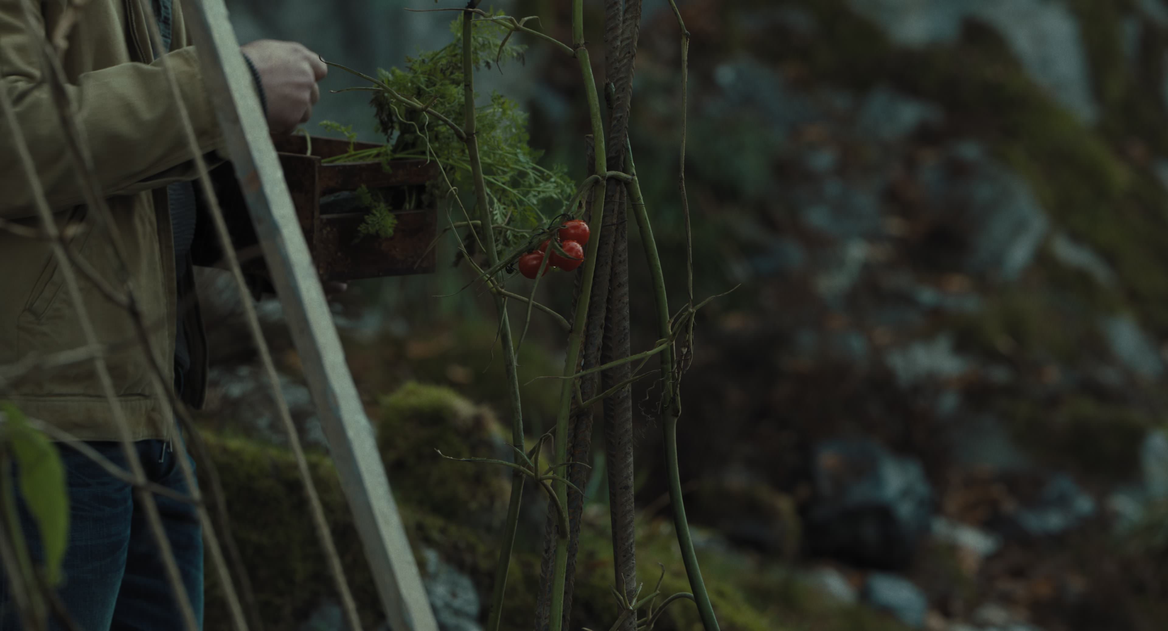 The Gorge (2025) [4K] HD screenshot 3368
