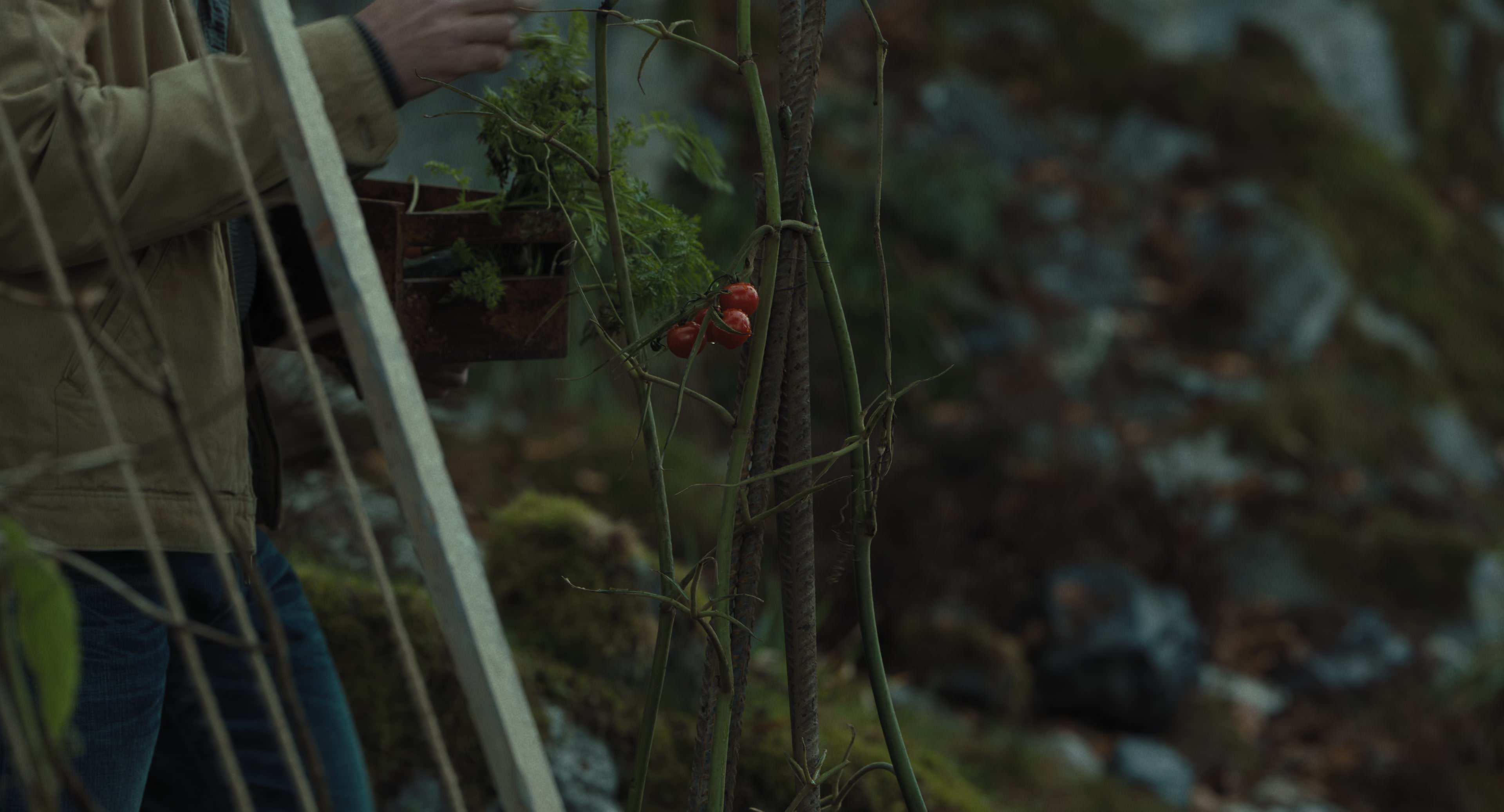 The Gorge (2025) [4K] screencap 3369