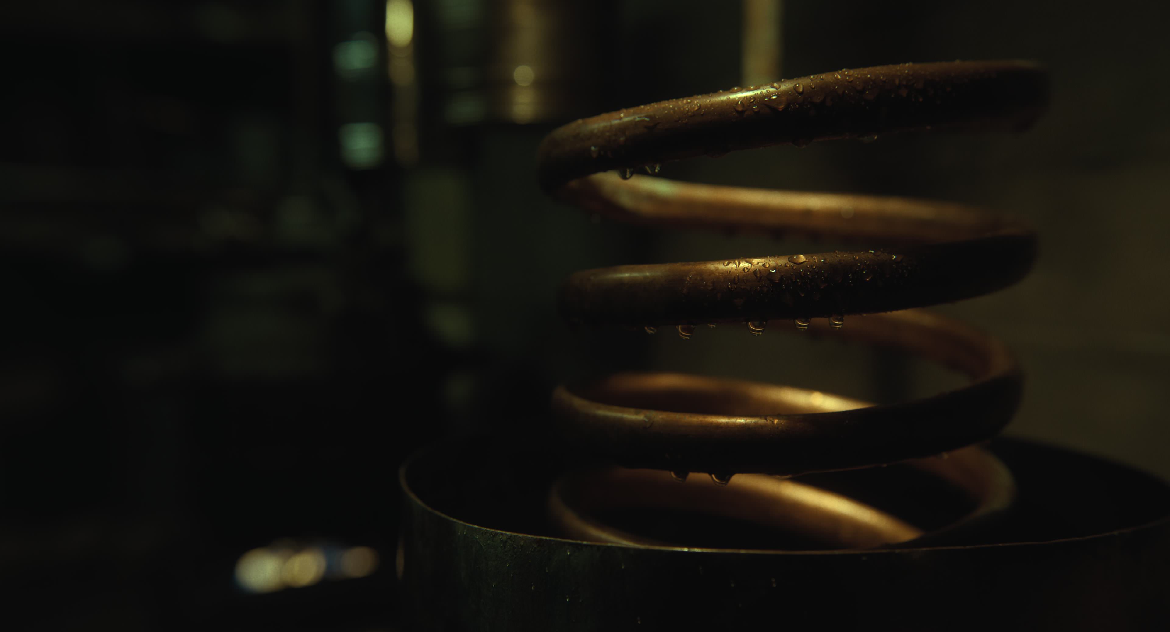 The Gorge (2025) [4K] HD screenshot 5471