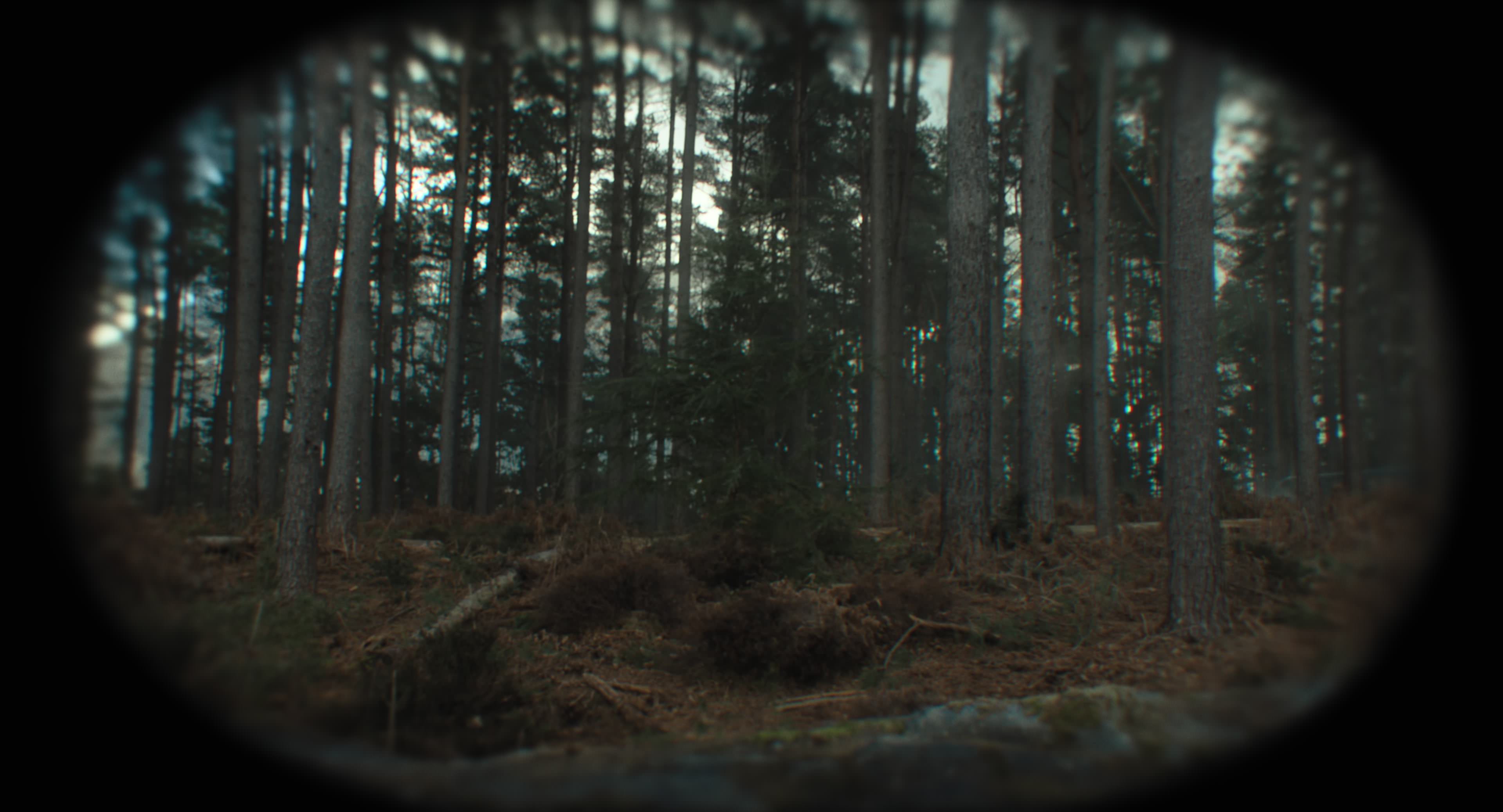 The Gorge (2025) [4K] HD screenshot 6104