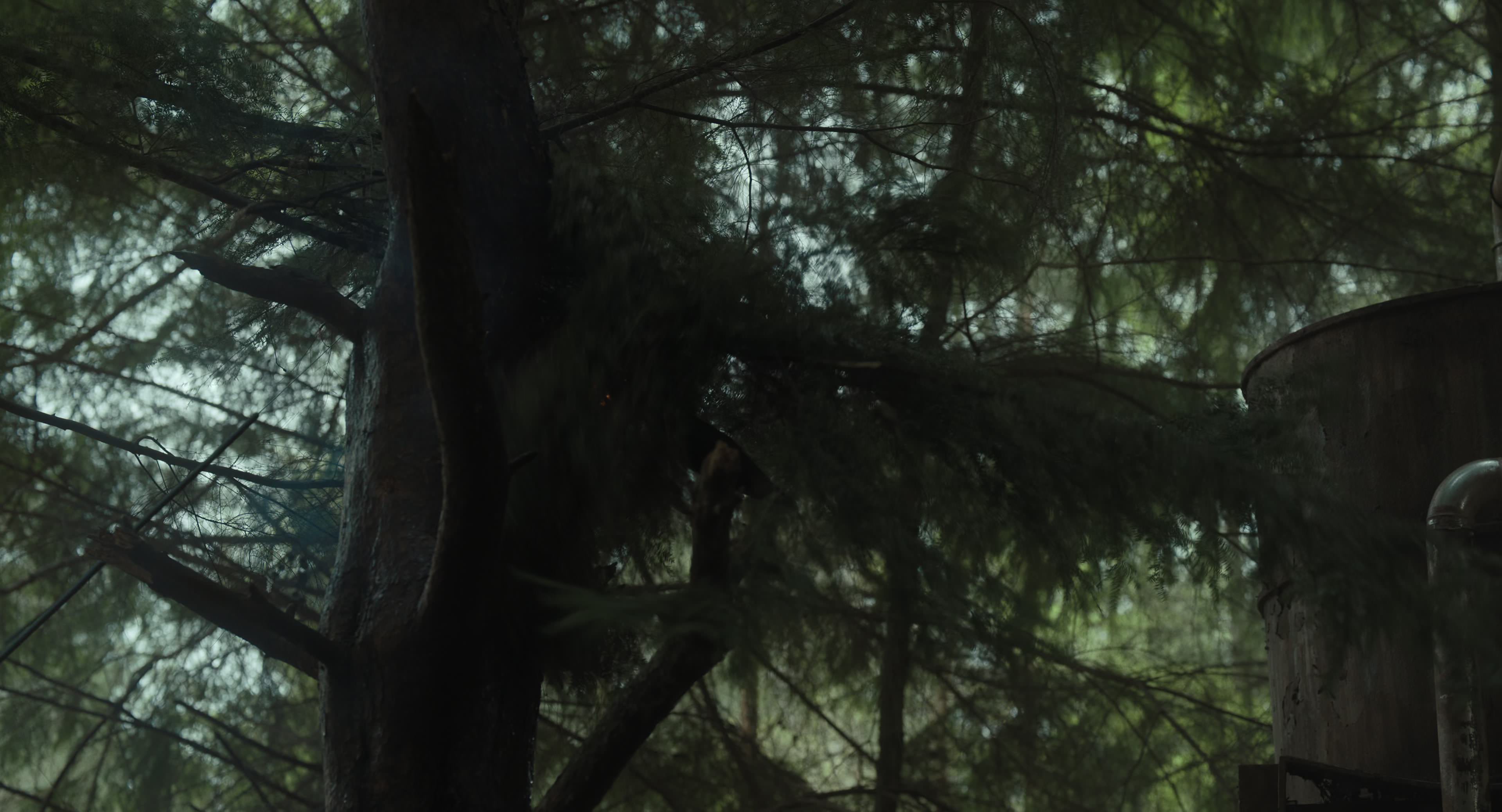The Gorge (2025) [4K] screencap 6489