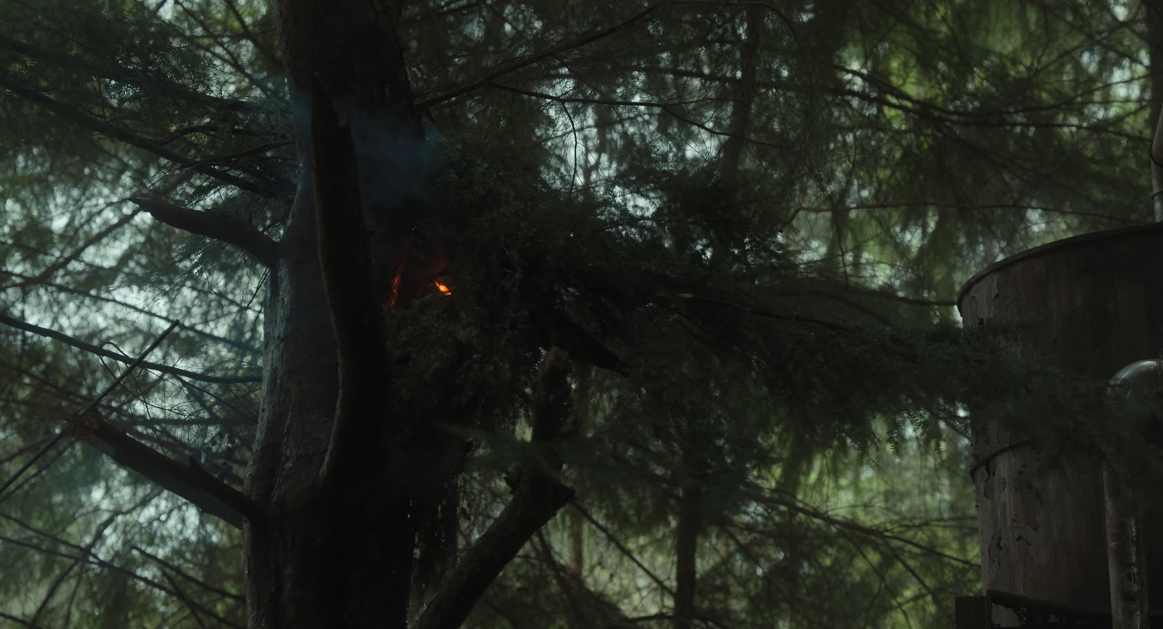 The Gorge (2025) [4K] HD screenshot 6491