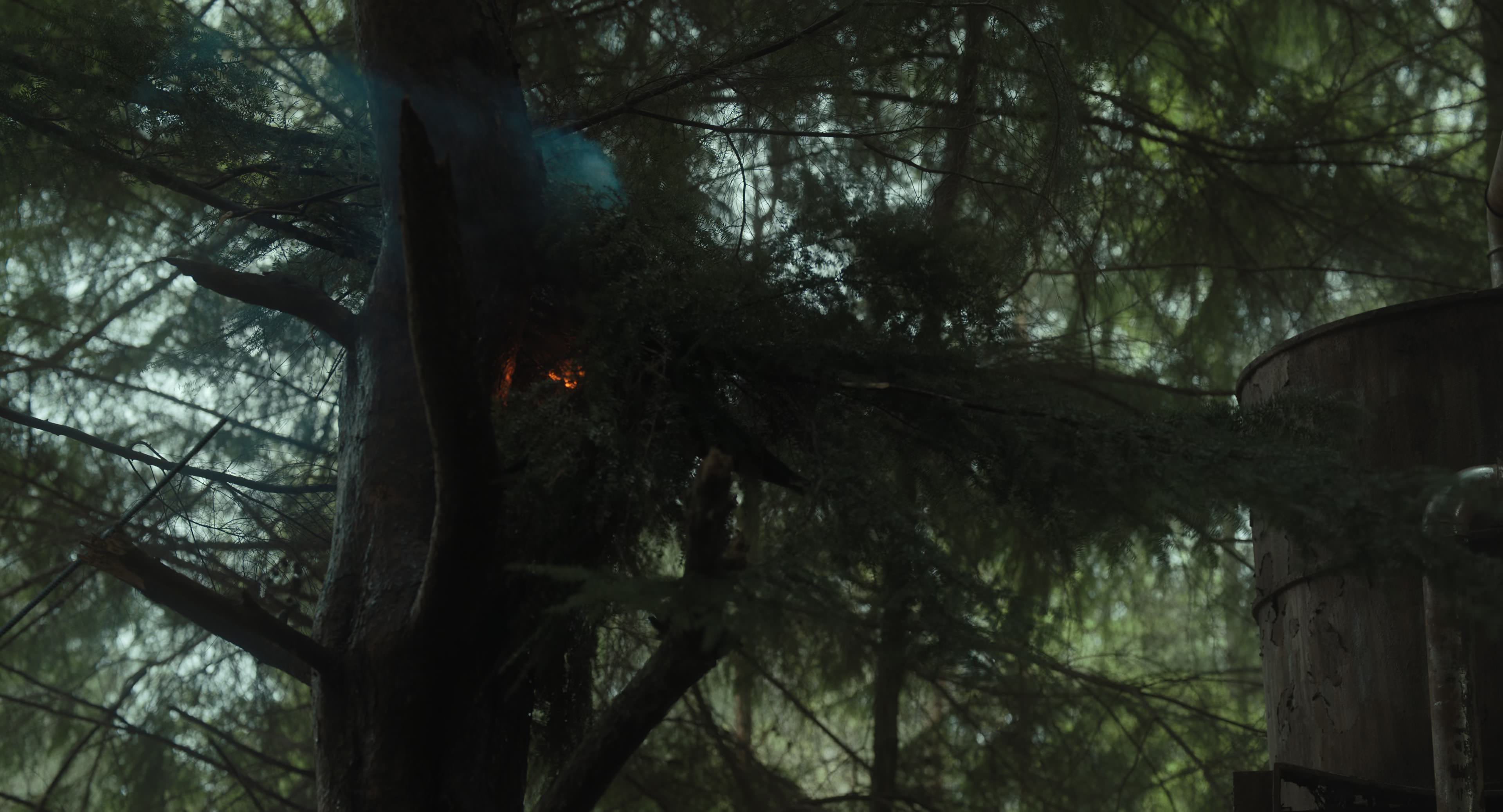 The Gorge (2025) [4K] screencap 6492