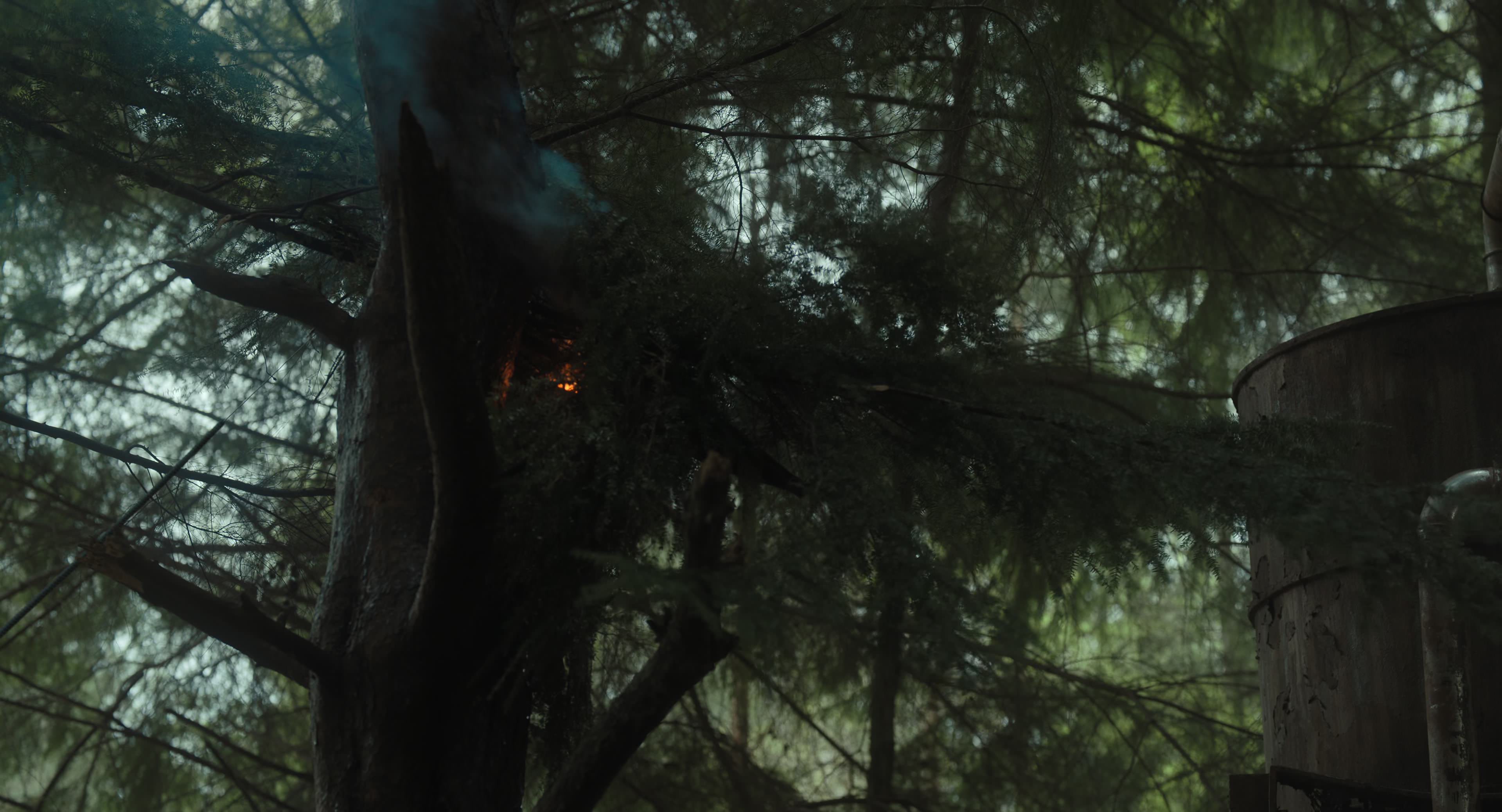 The Gorge (2025) [4K] HD screenshot 6494