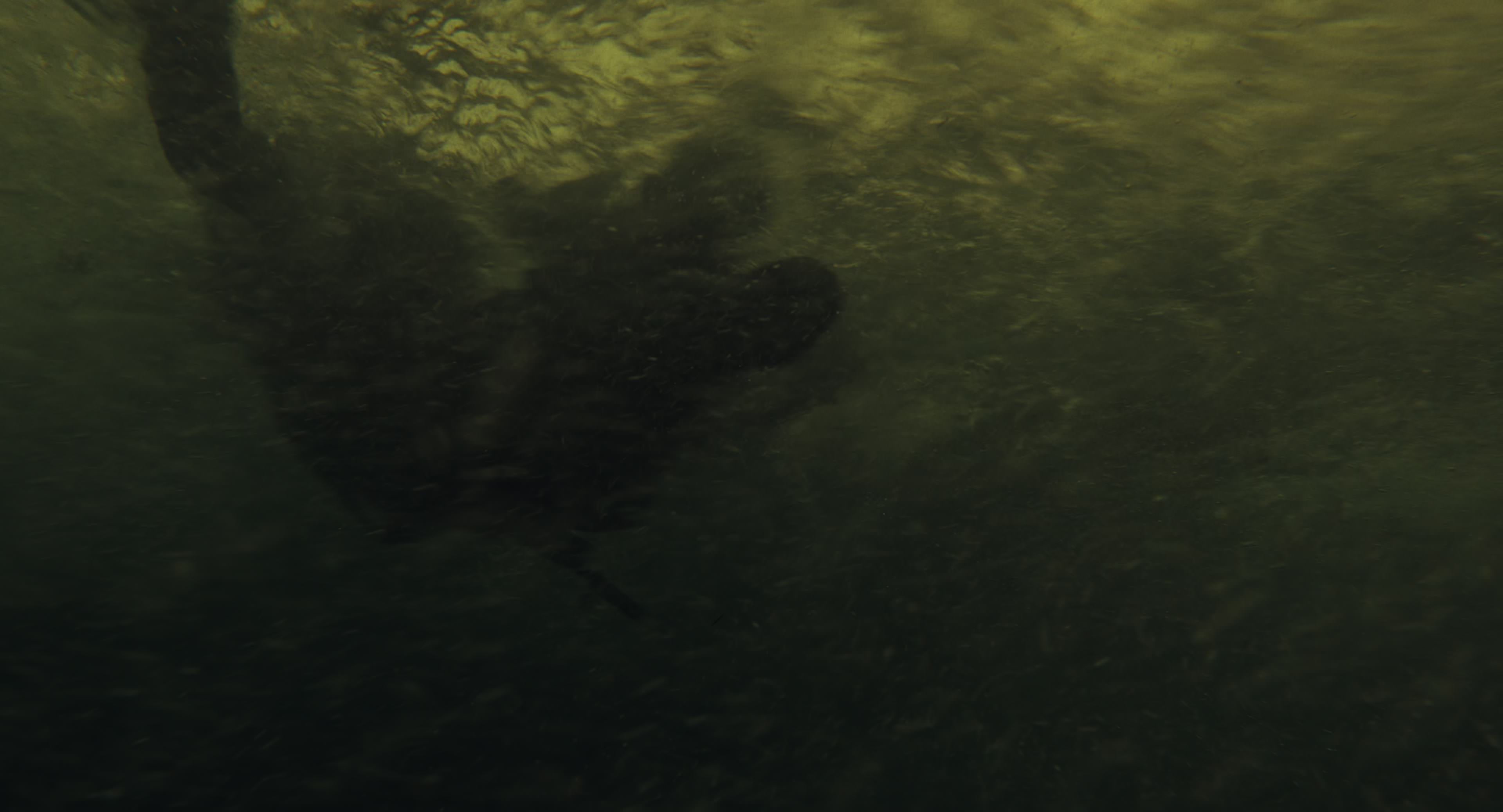 The Gorge (2025) [4K] movie still 8518