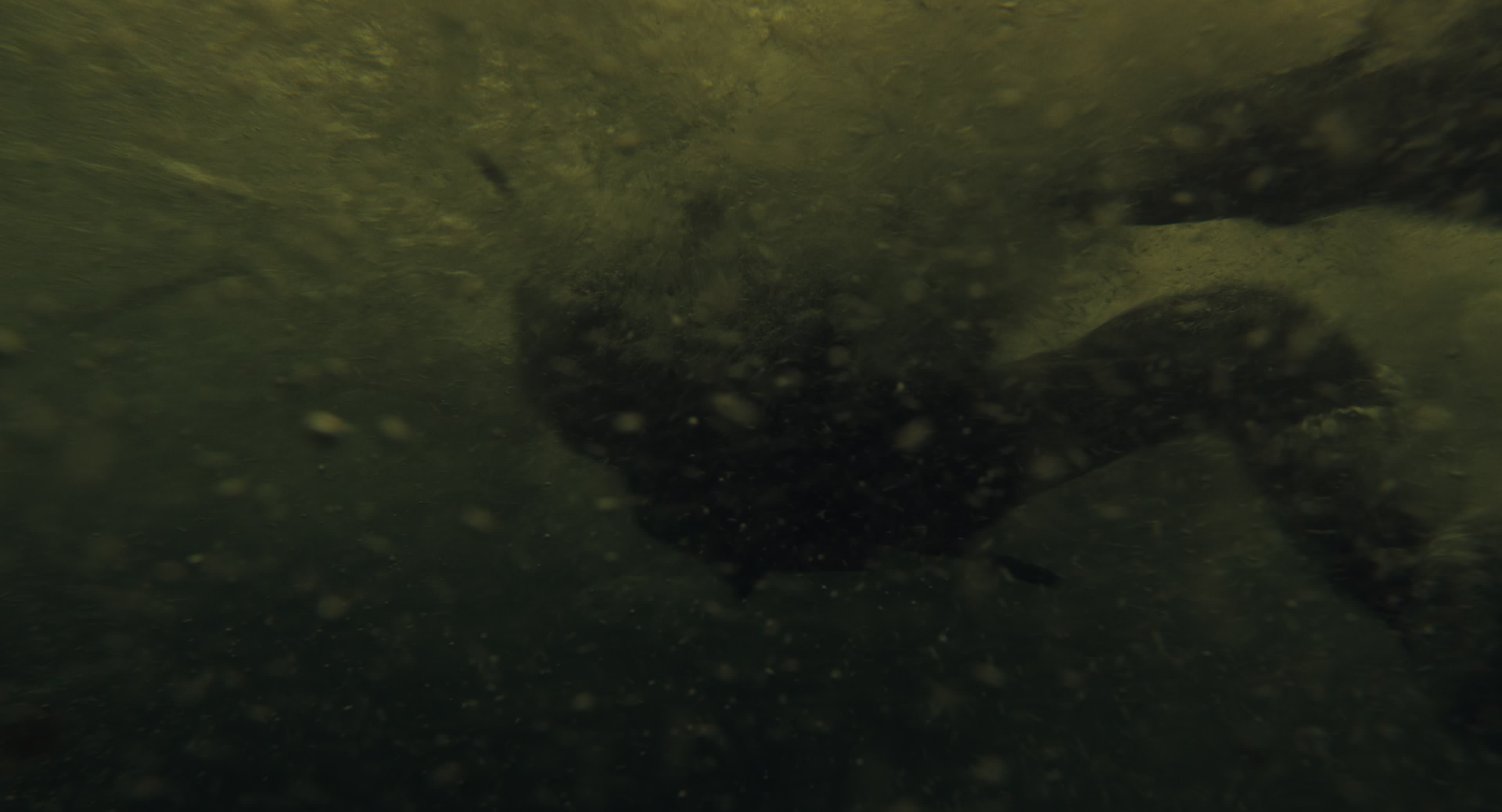The Gorge (2025) [4K] HD screenshot 8519