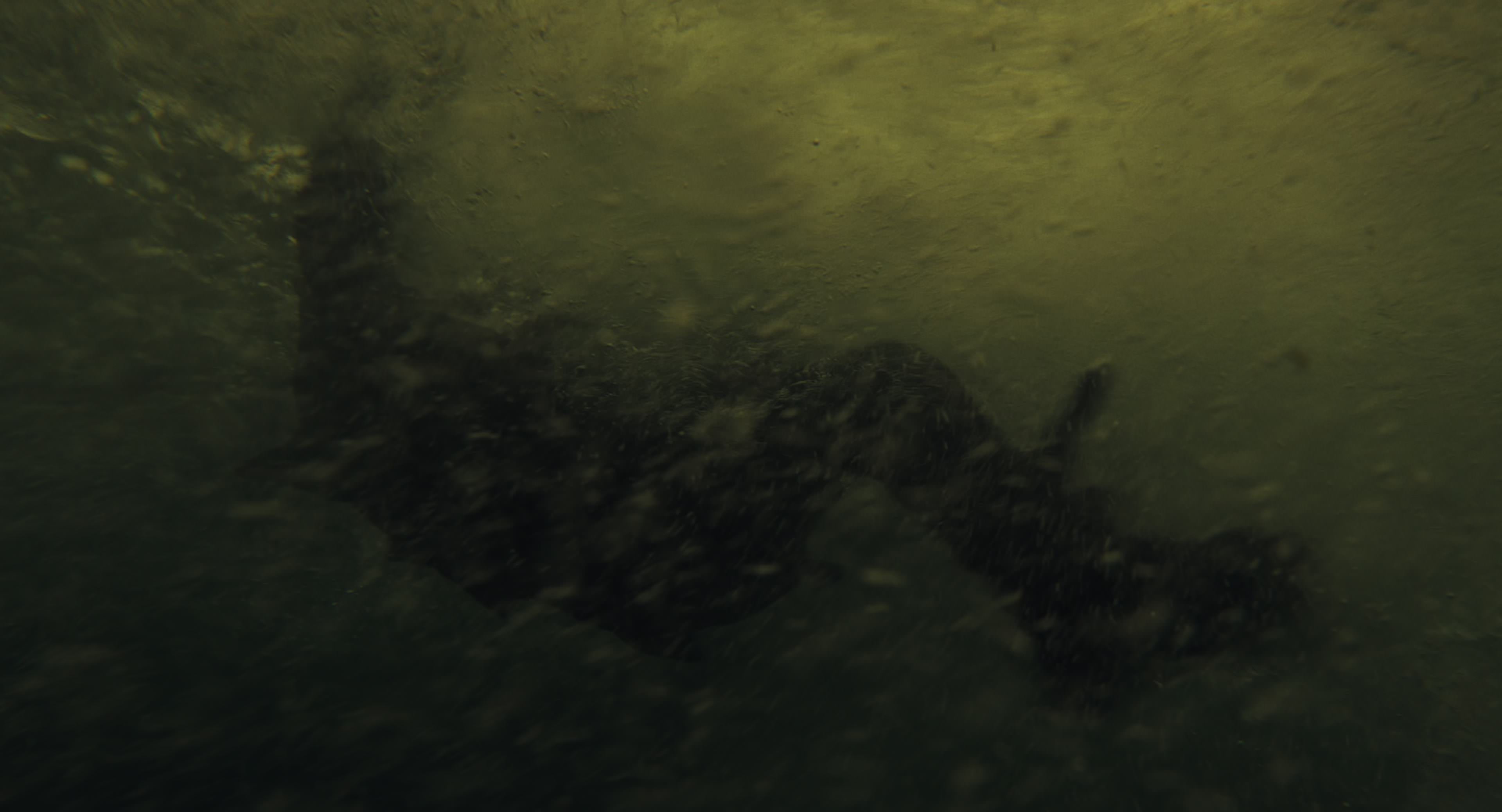 The Gorge (2025) [4K] screencap 8520