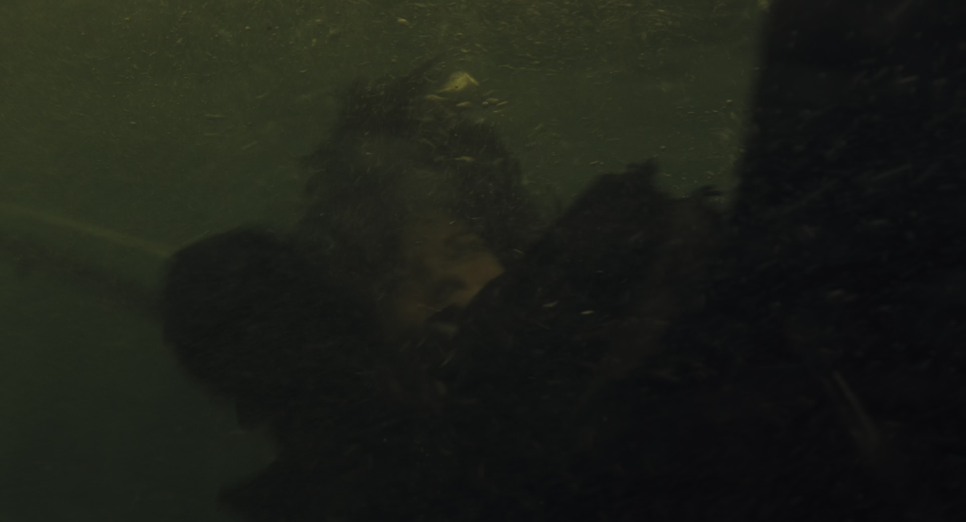 The Gorge (2025) [4K] movie still 8521