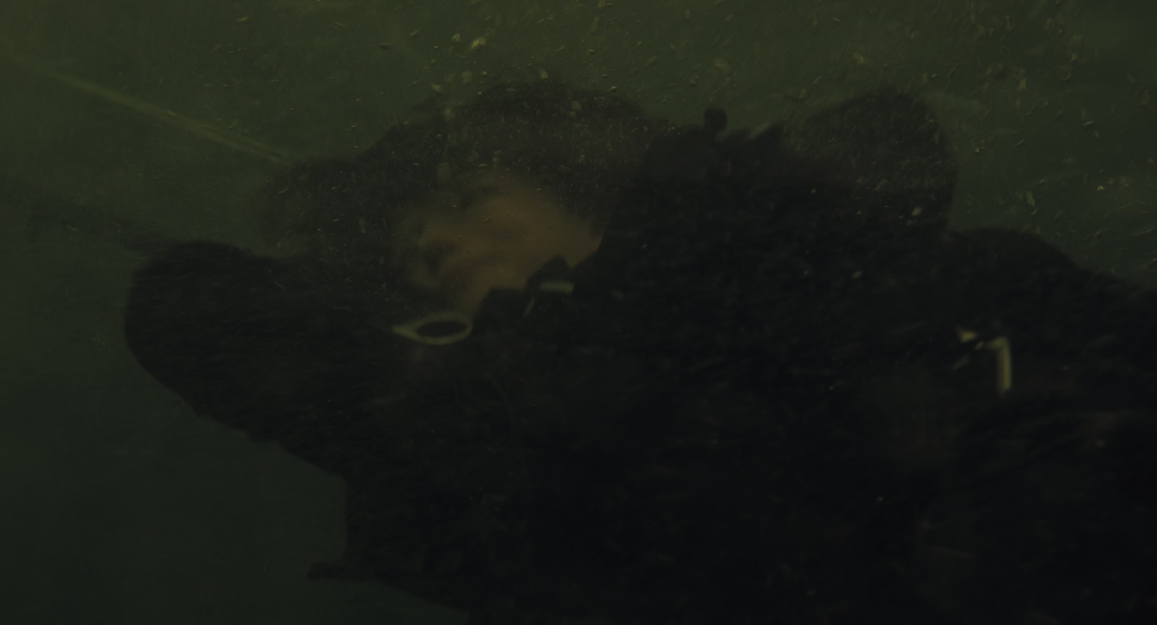 The Gorge (2025) [4K] HD screenshot 8522