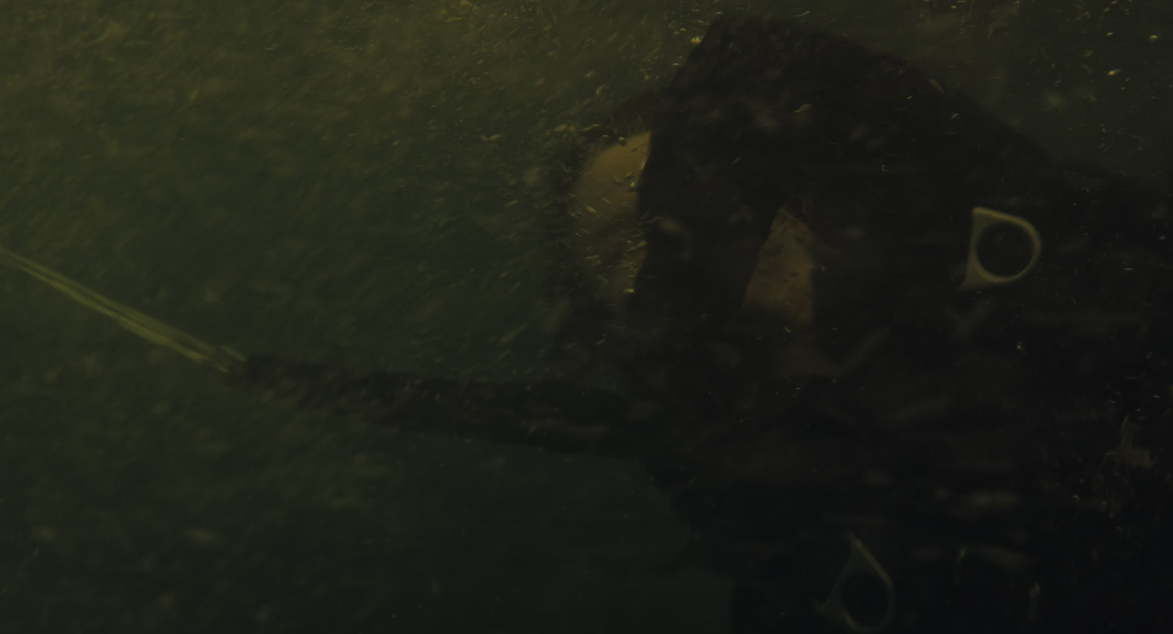 The Gorge (2025) [4K] HD screenshot 8531