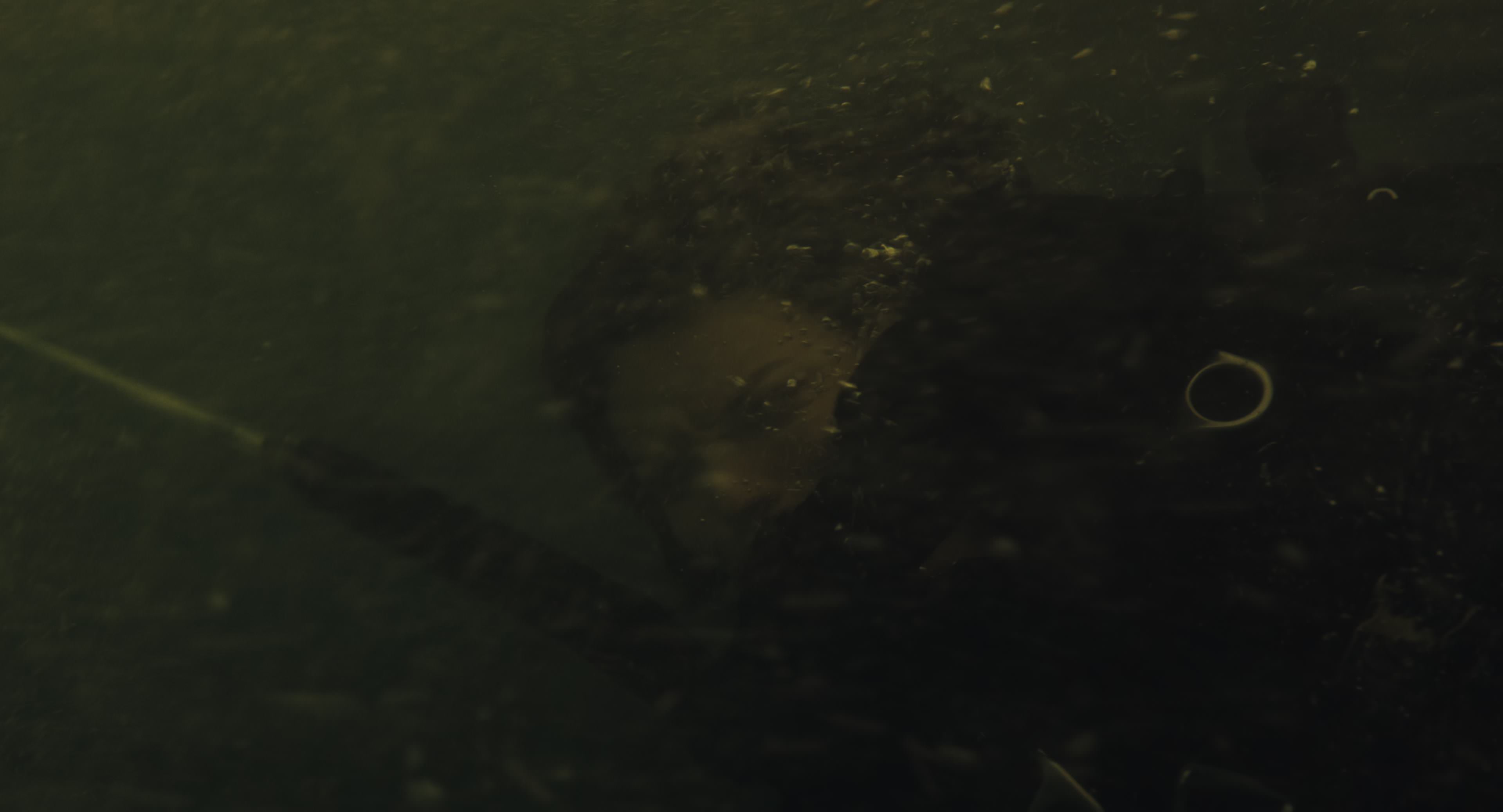 The Gorge (2025) [4K] screencap 8532