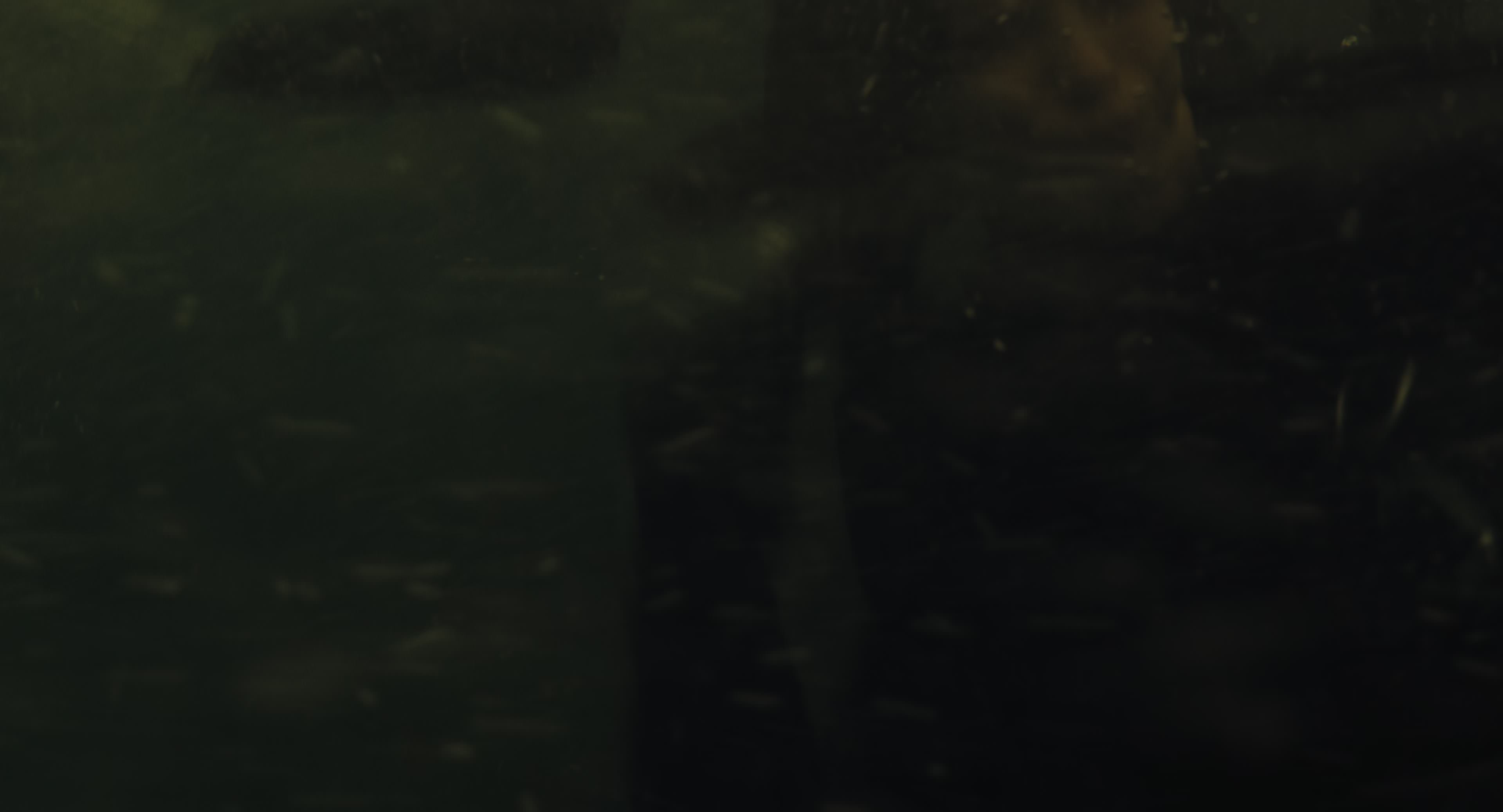 The Gorge (2025) [4K] screencap 8535