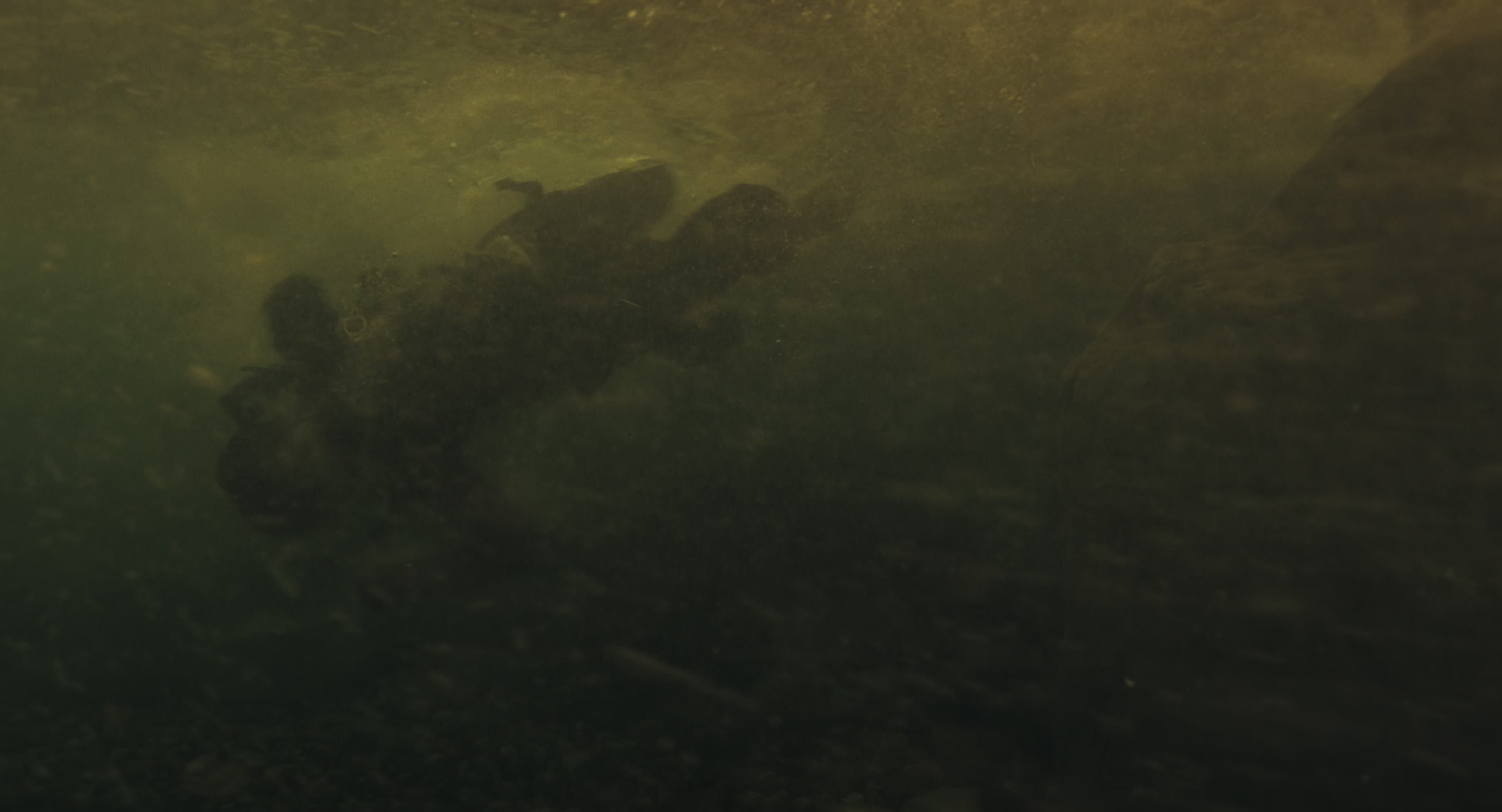 The Gorge (2025) [4K] screencap 8538