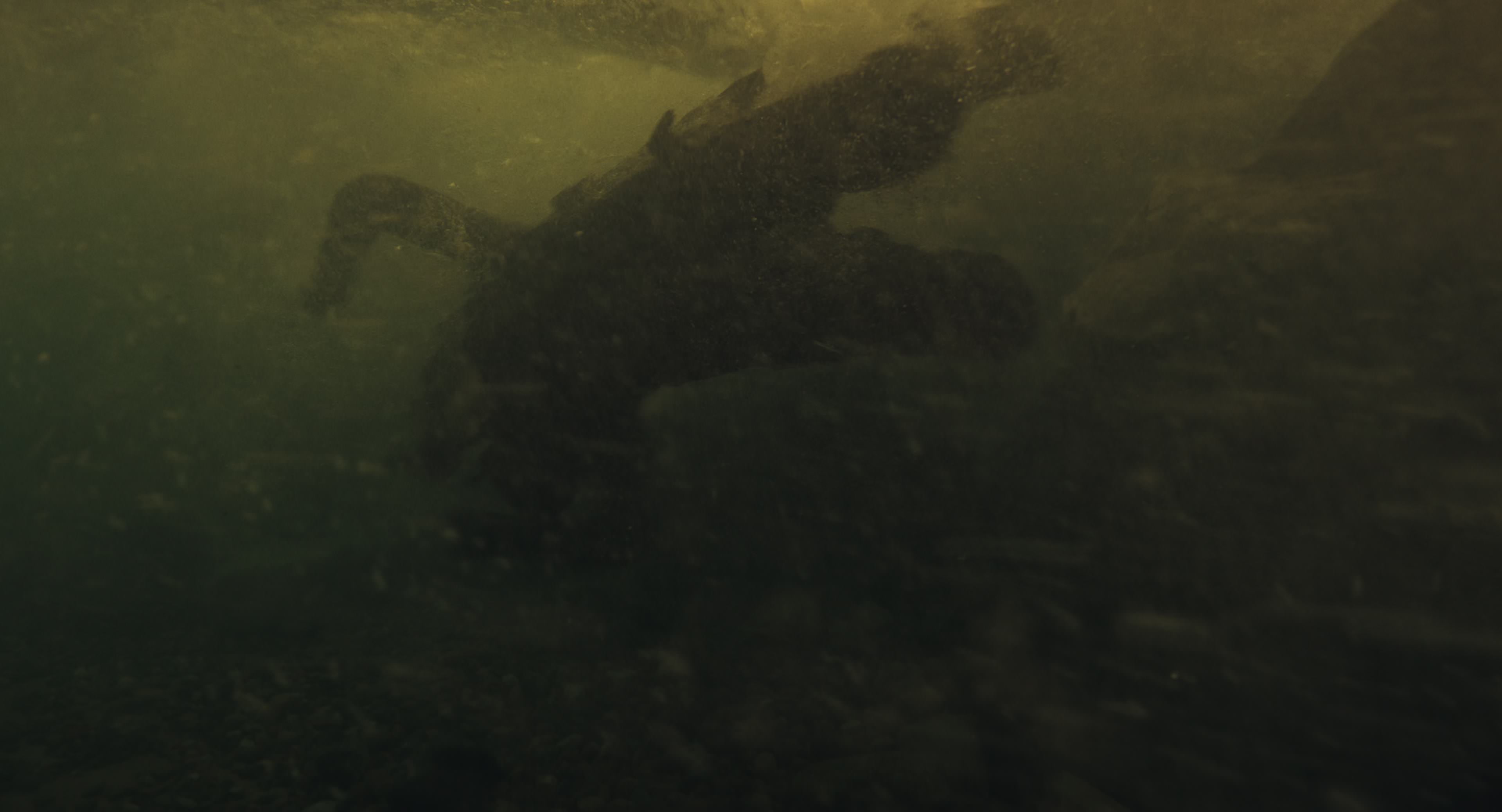 The Gorge (2025) [4K] movie still 8539