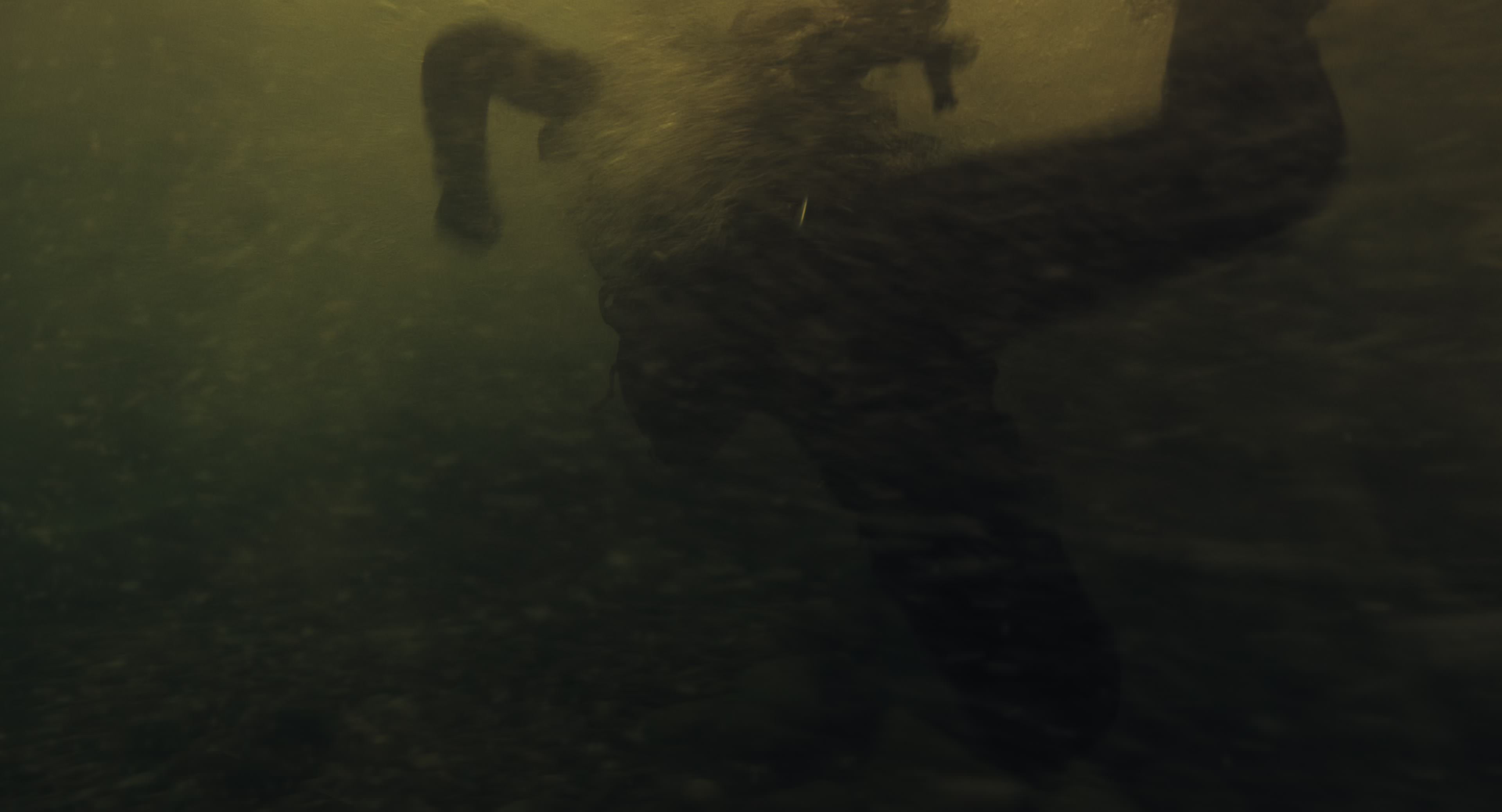 The Gorge (2025) [4K] HD screenshot 8540