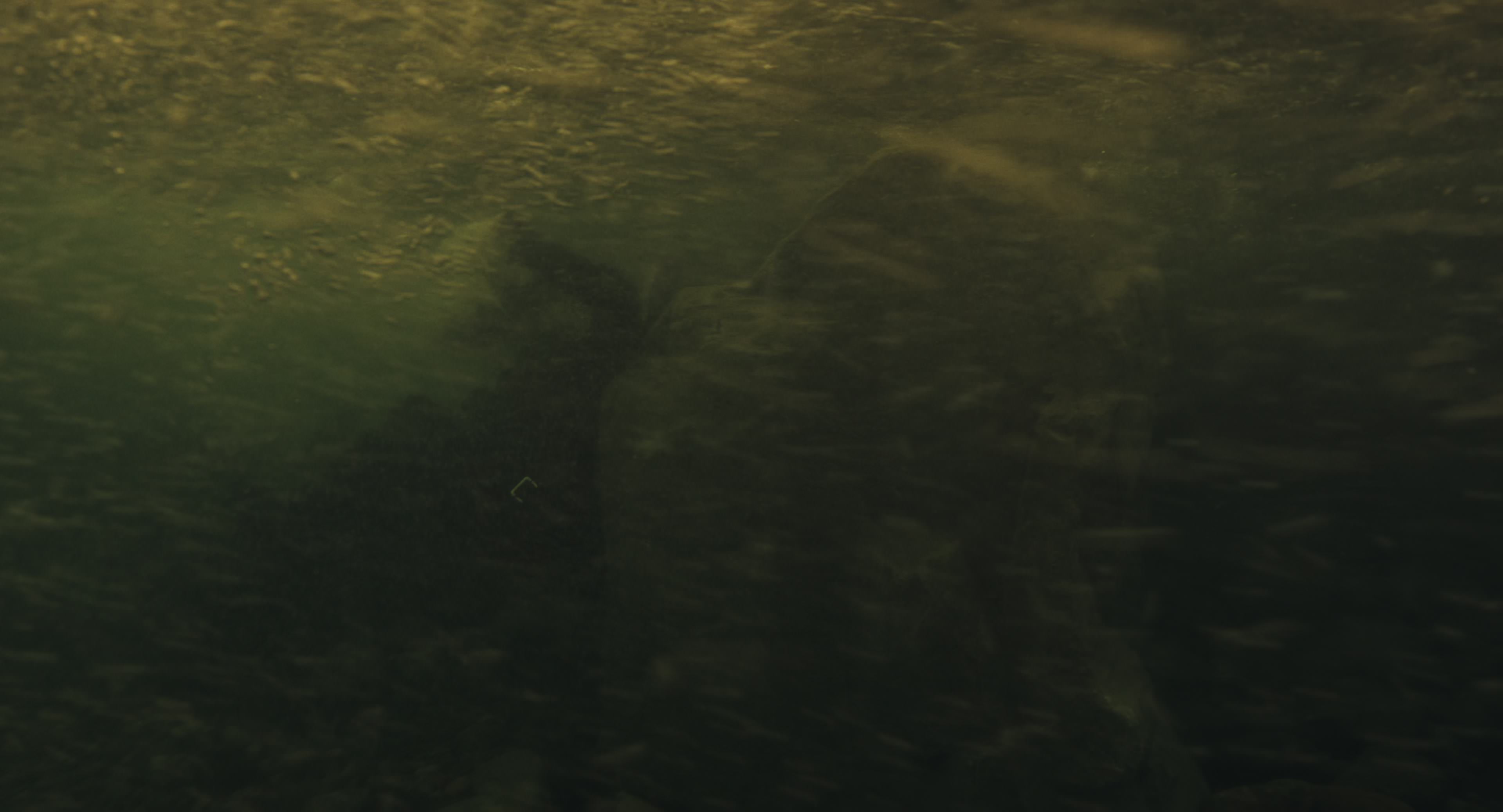 The Gorge (2025) [4K] movie still 8542