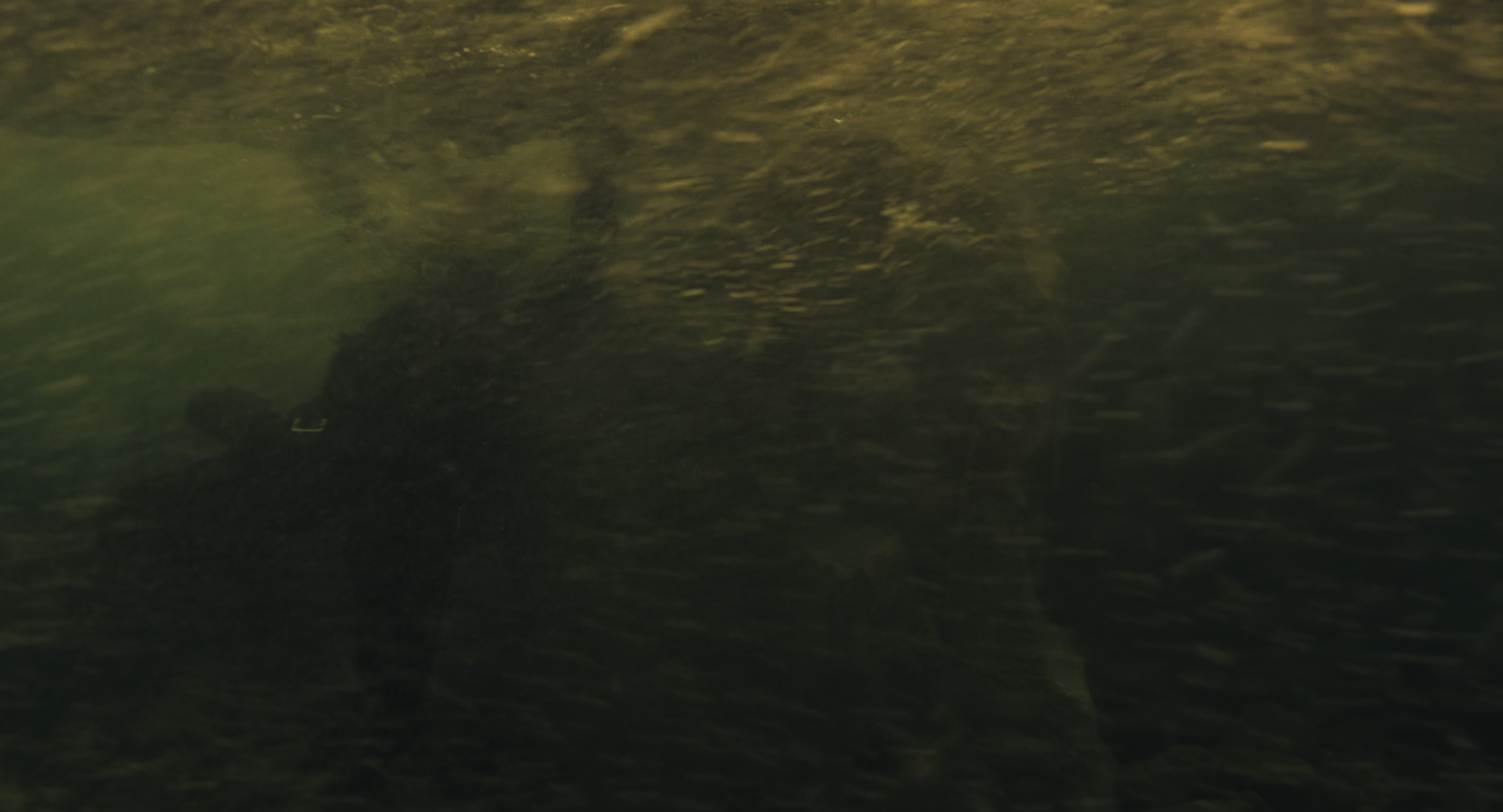 The Gorge (2025) [4K] HD screenshot 8543