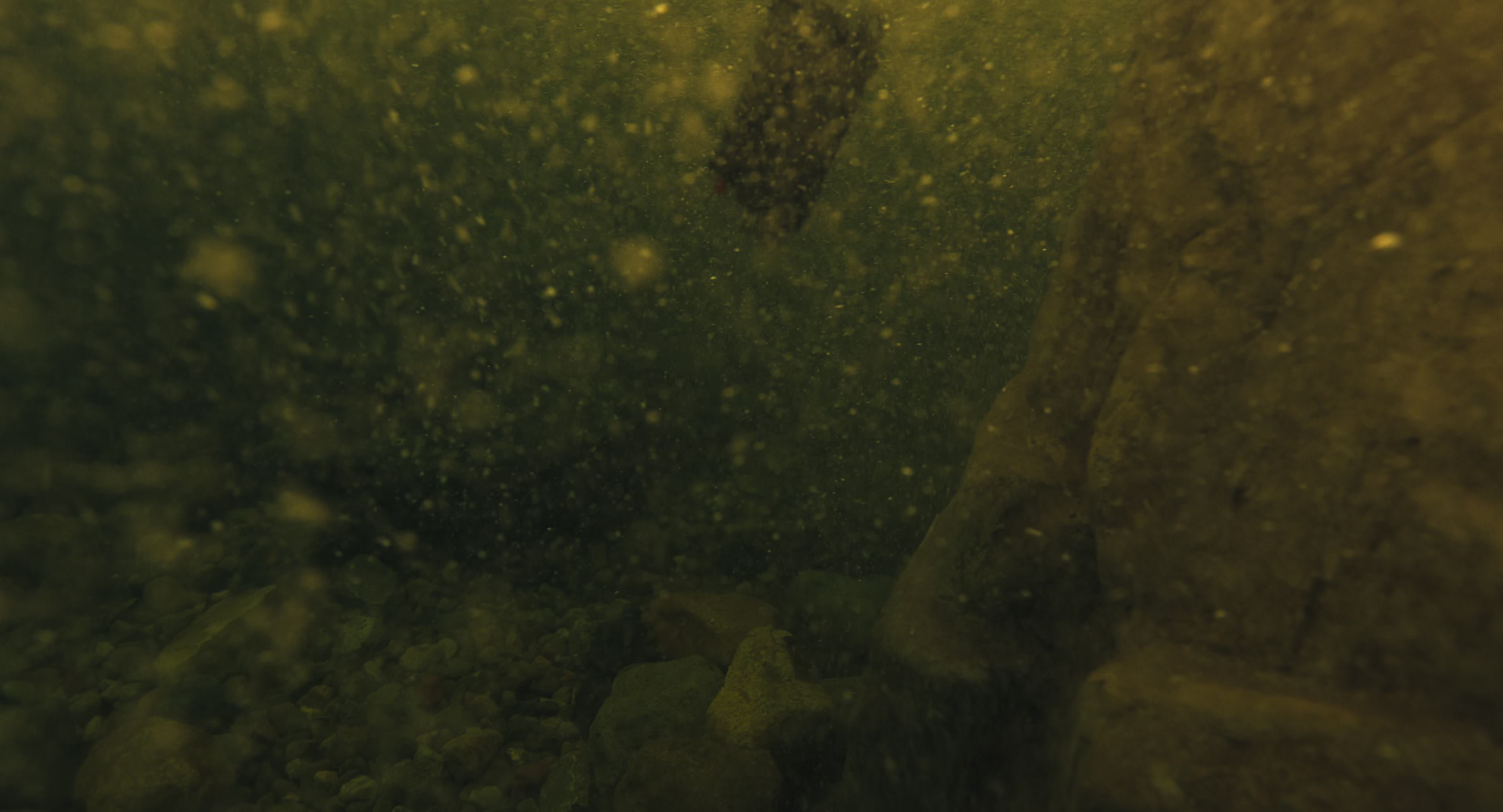 The Gorge (2025) [4K] movie still 8545