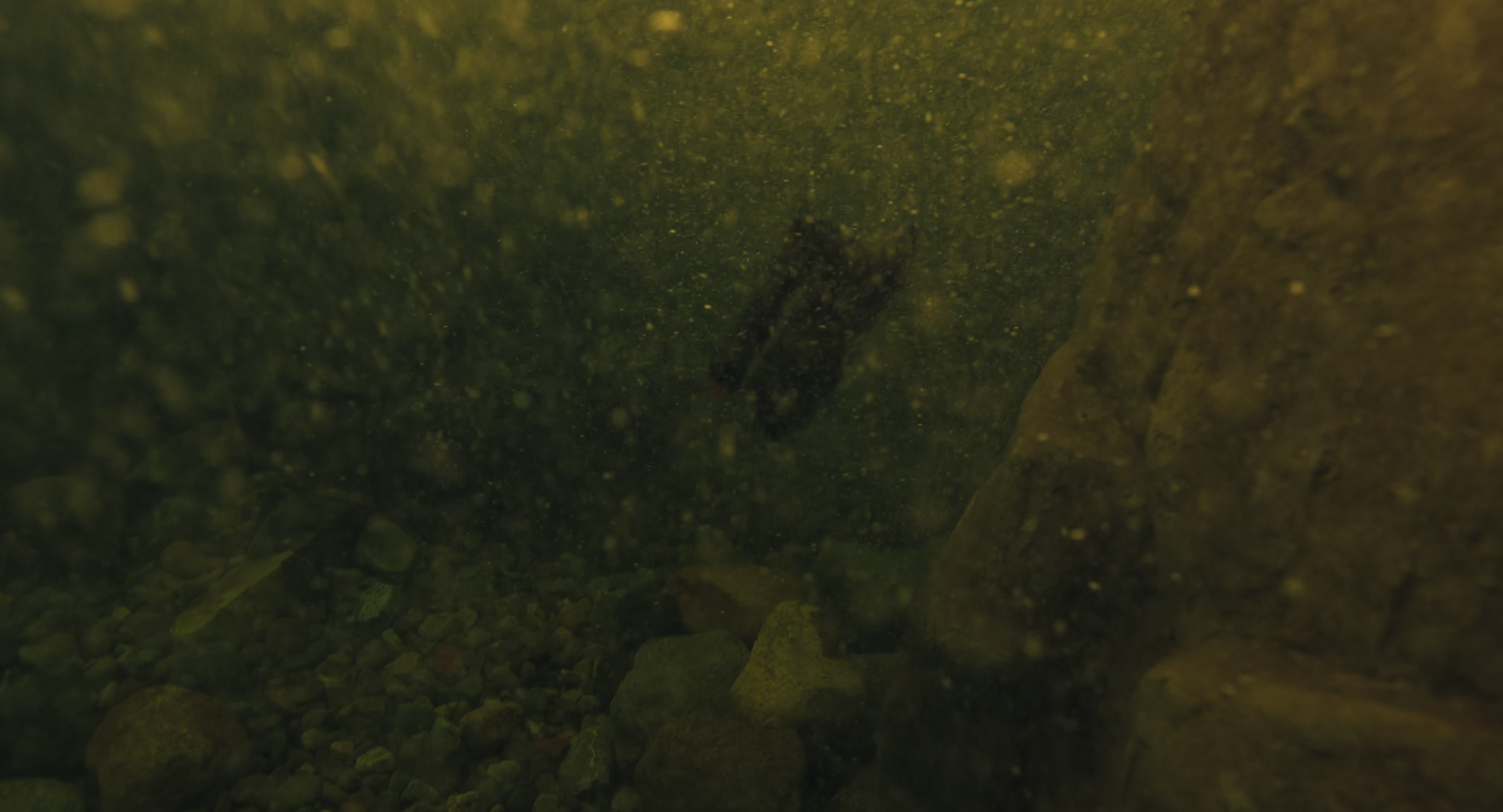 The Gorge (2025) [4K] HD screenshot 8546