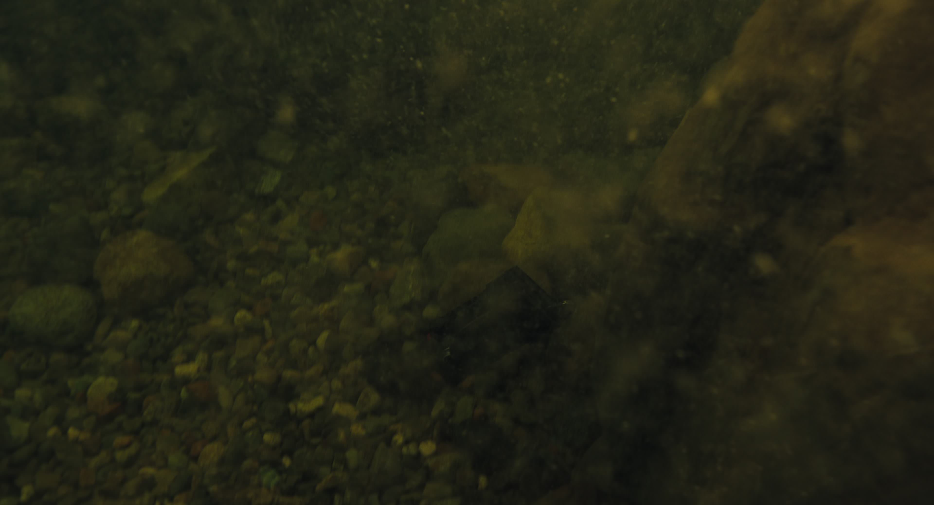 The Gorge (2025) [4K] movie still 8548