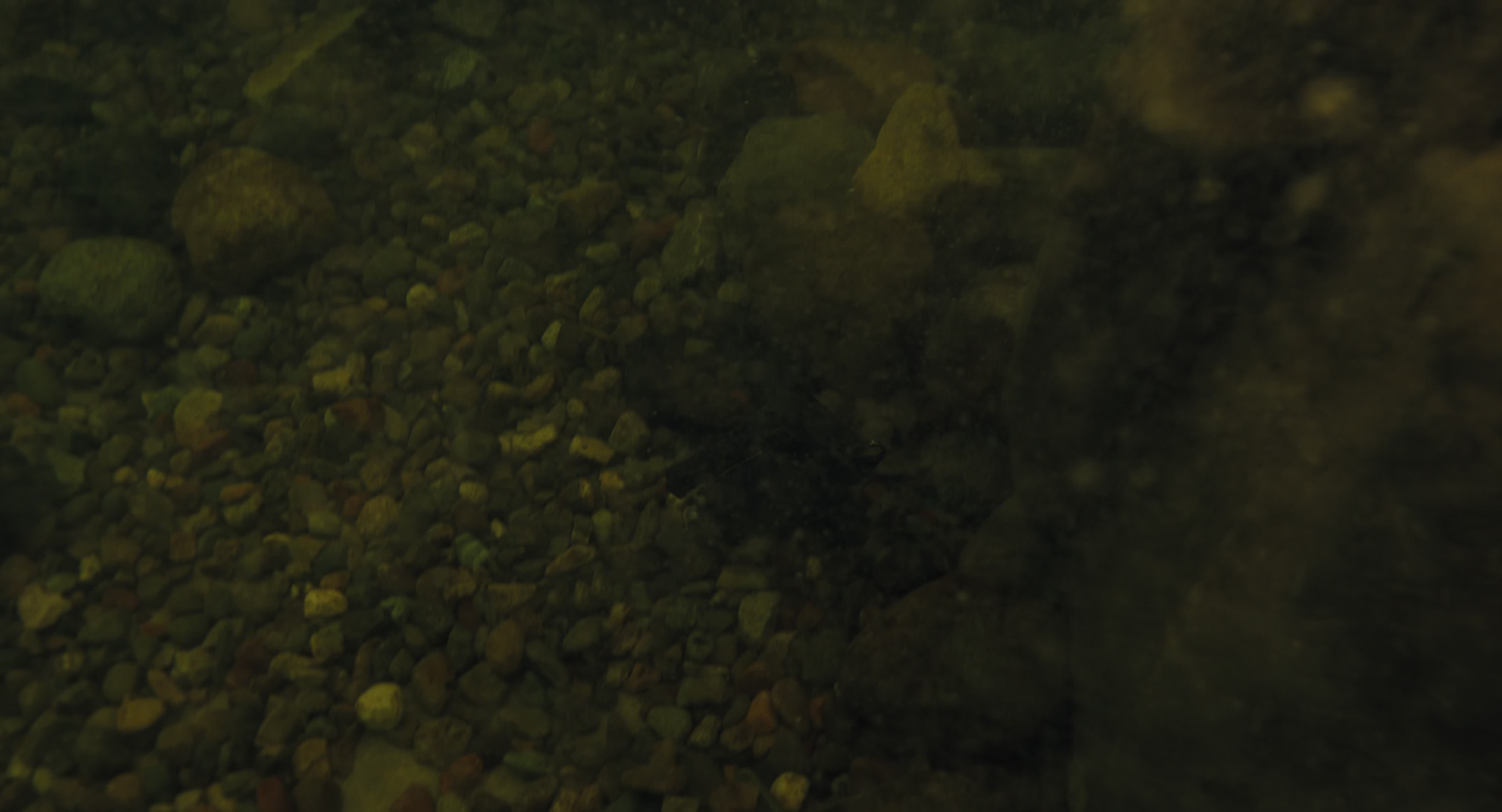 The Gorge (2025) [4K] HD screenshot 8549