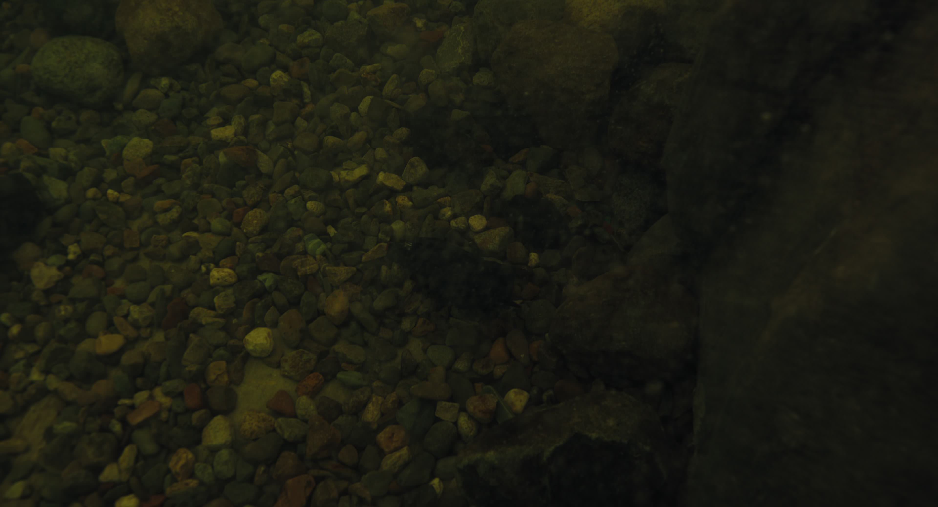 The Gorge (2025) [4K] movie still 8551