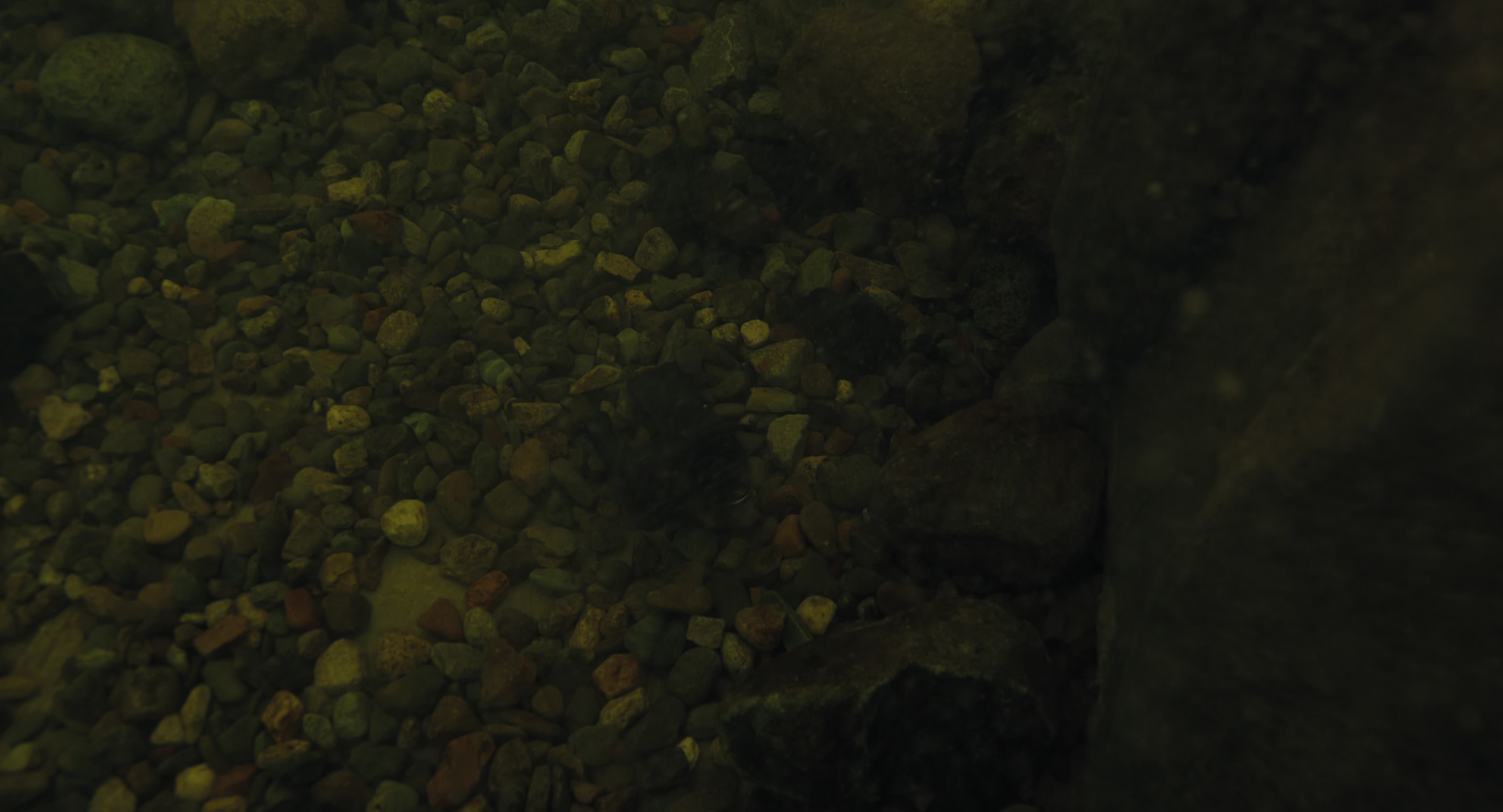 The Gorge (2025) [4K] HD screenshot 8552