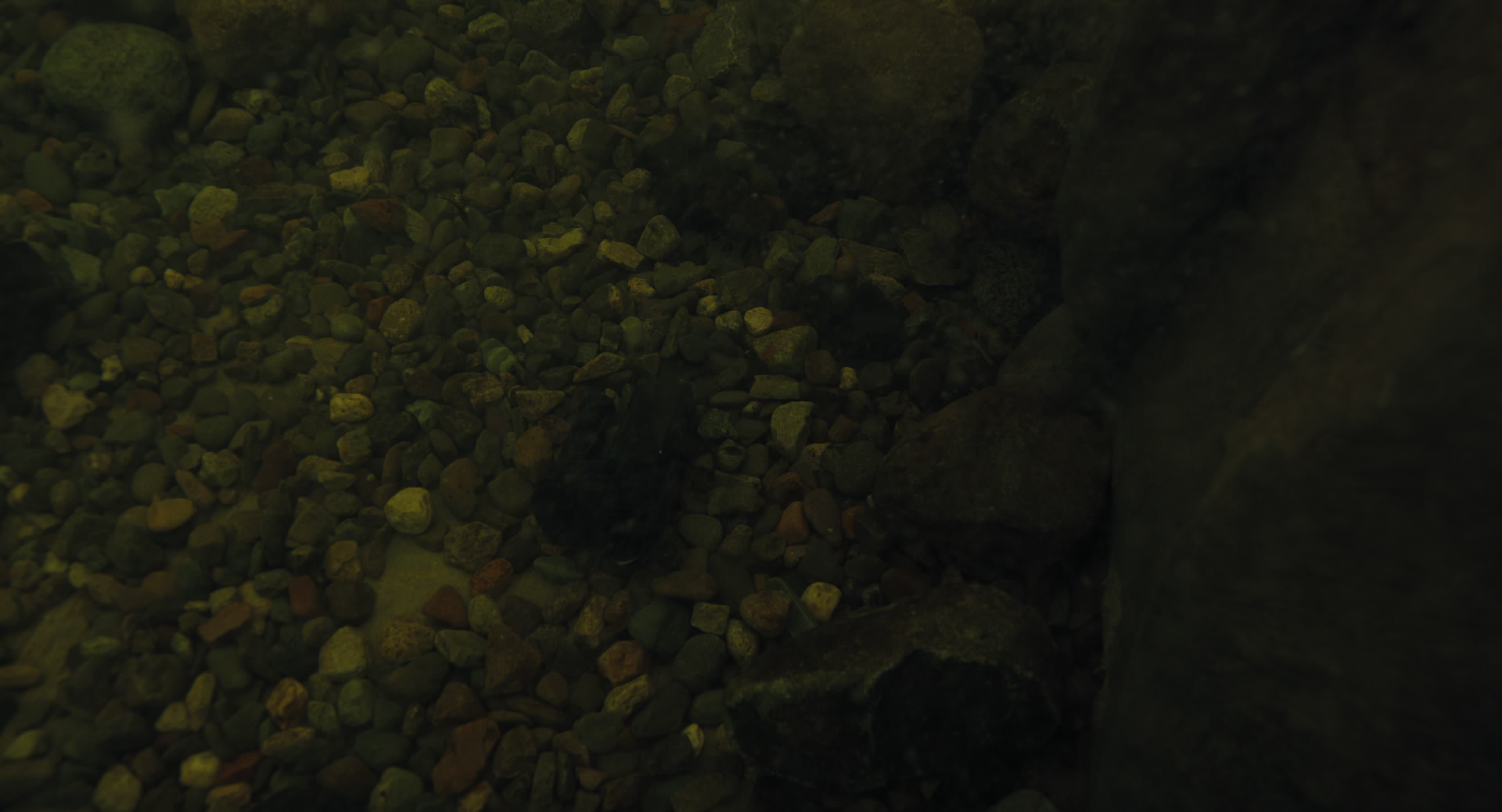 The Gorge (2025) [4K] screencap 8553